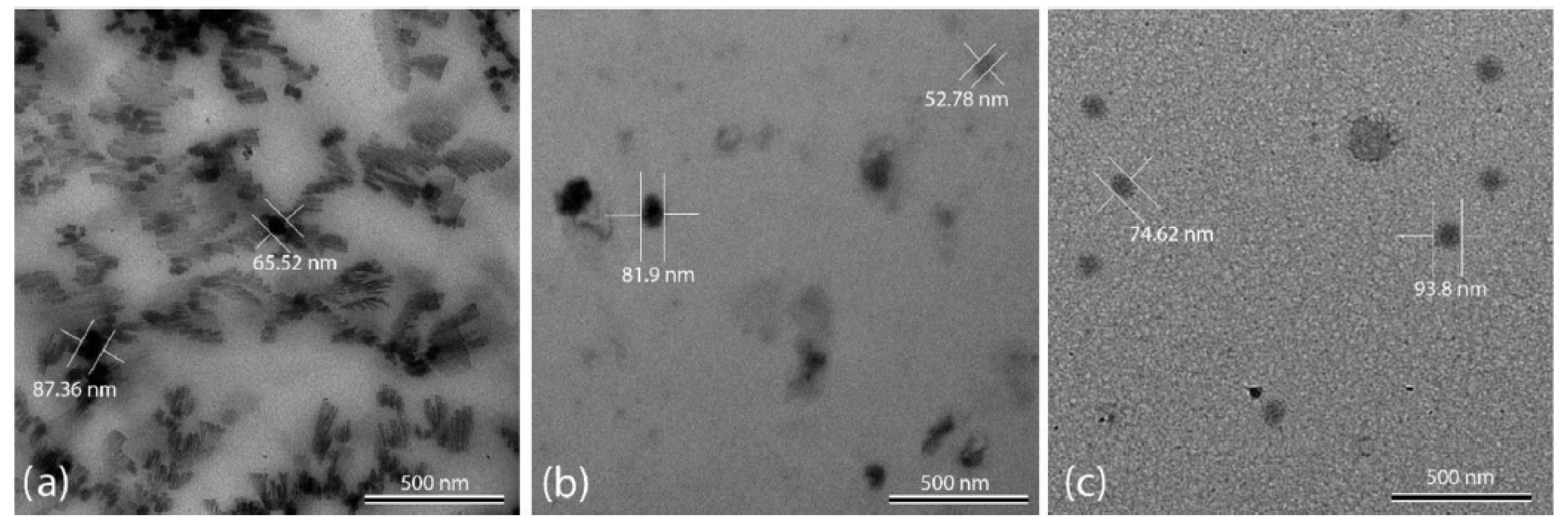 Materials 17 00955 g016