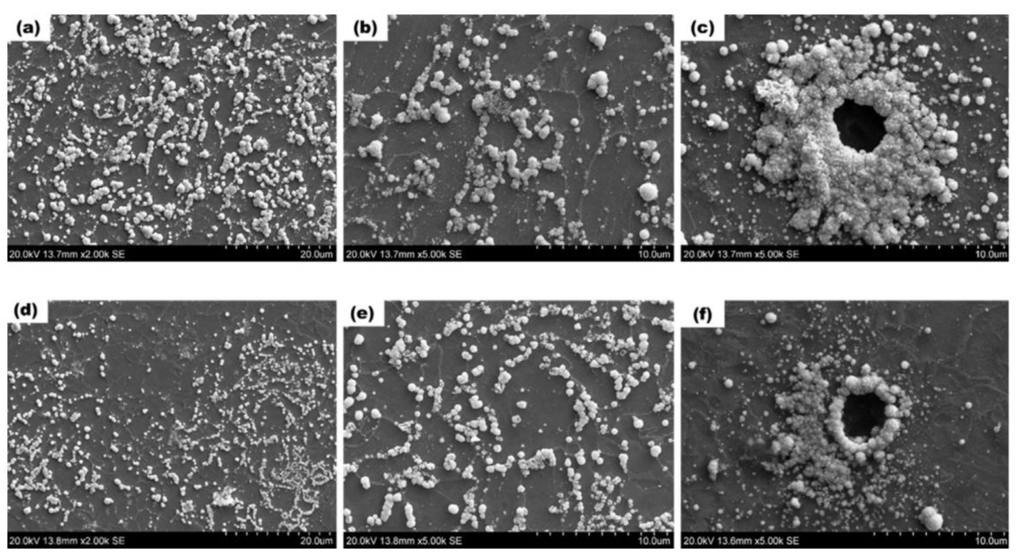 Materials 17 00965 g004