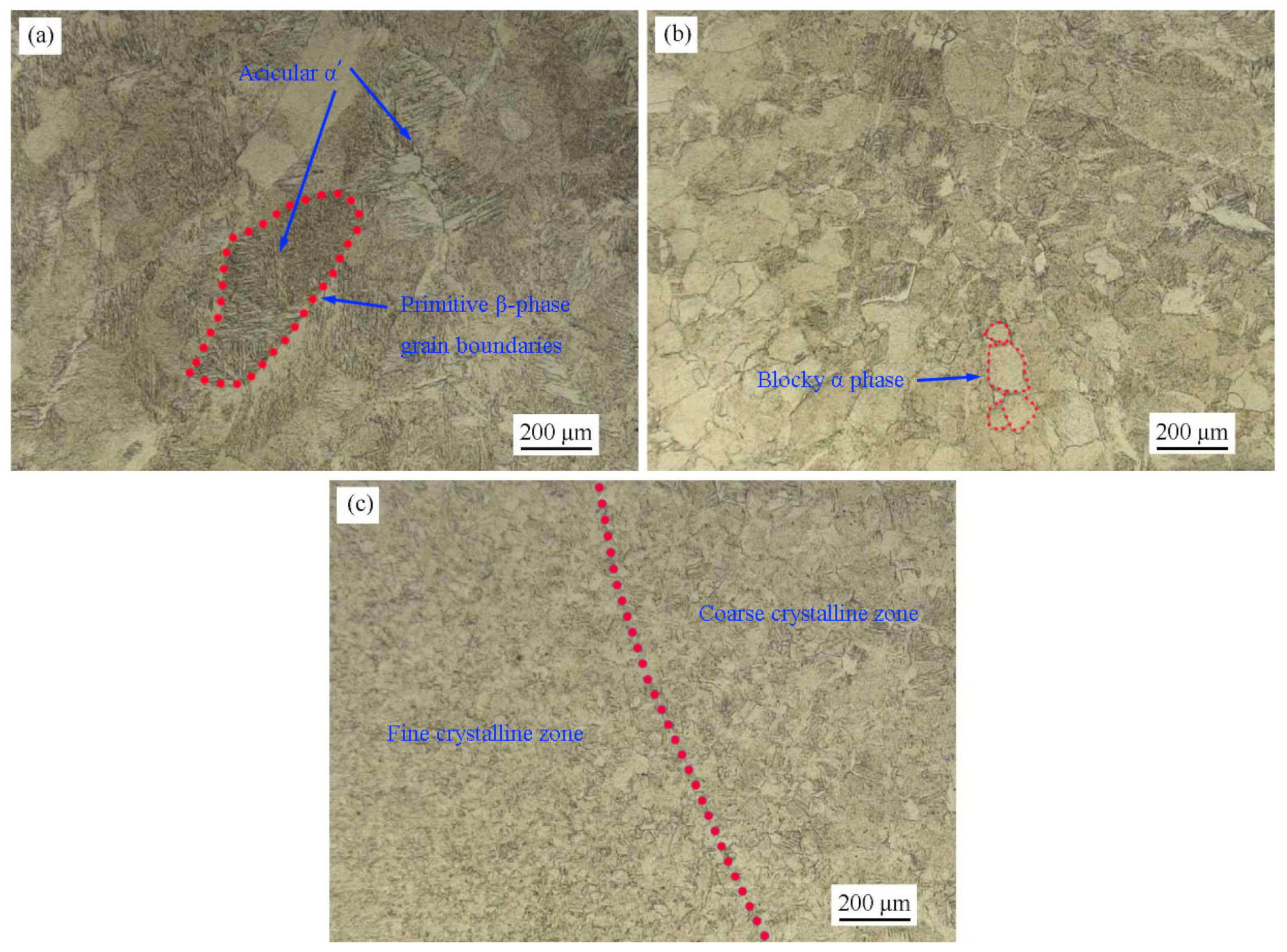 Materials 17 00980 g004 Materials 17 00980 g004