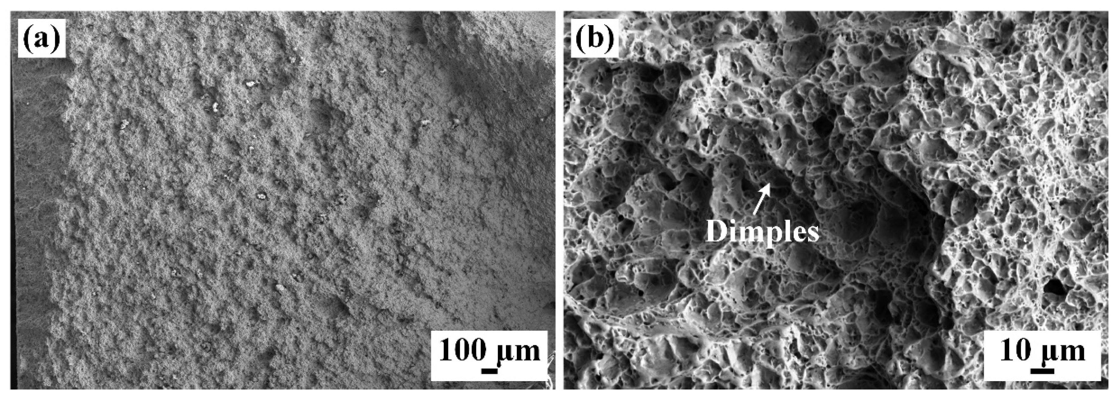 Materials 17 00980 g013 Materials 17 00980 g013