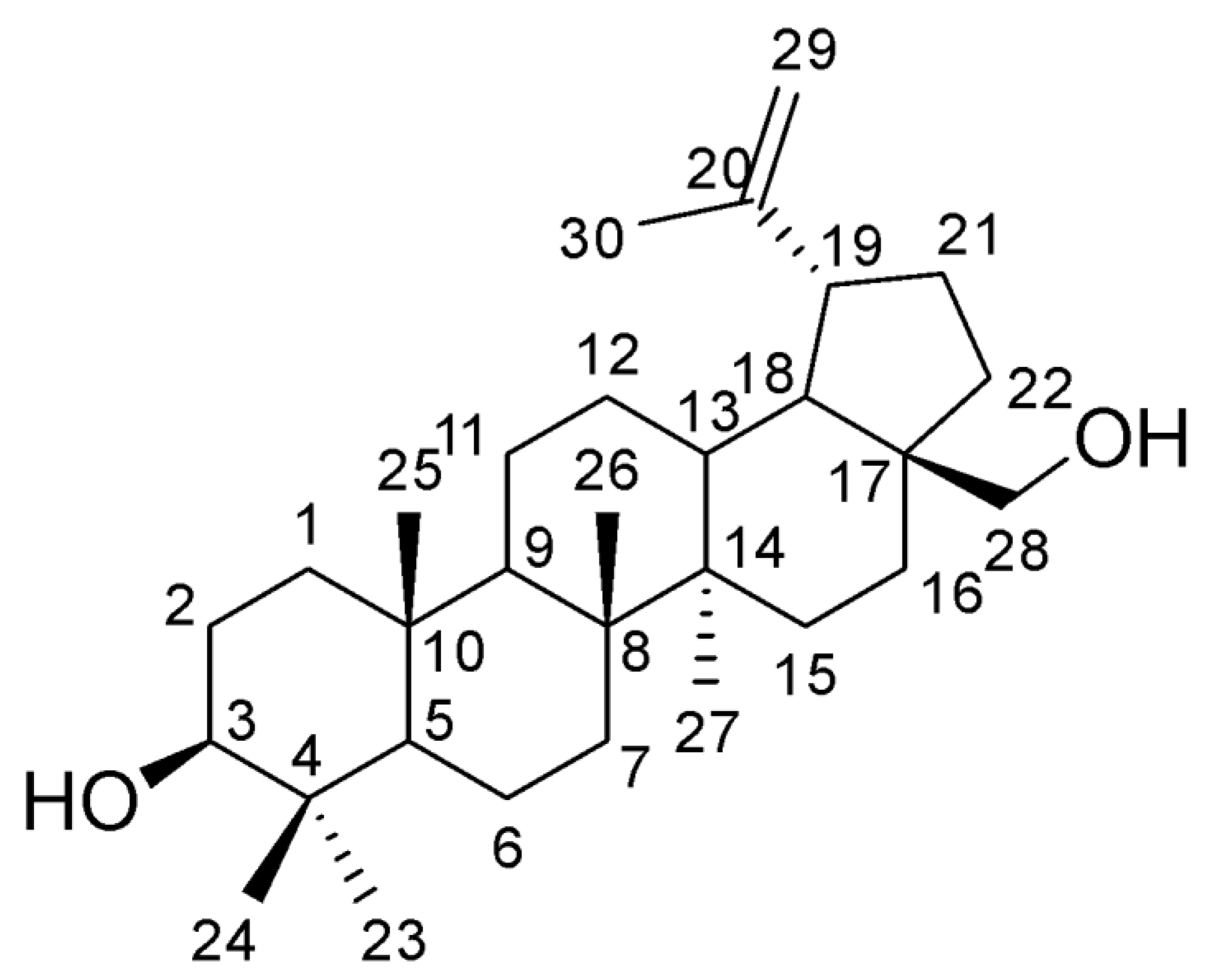 Materials 17 00981 g001