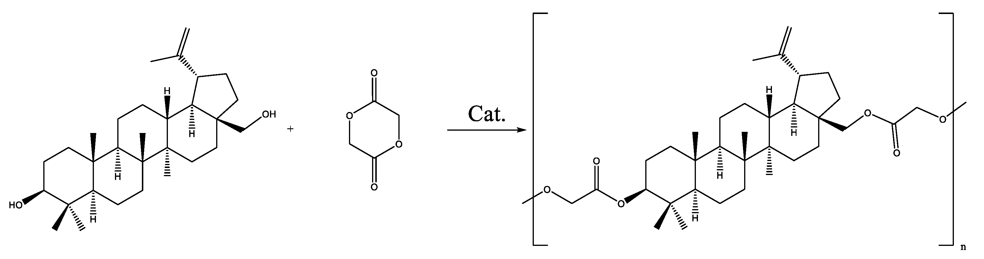 Materials 17 00981 g006