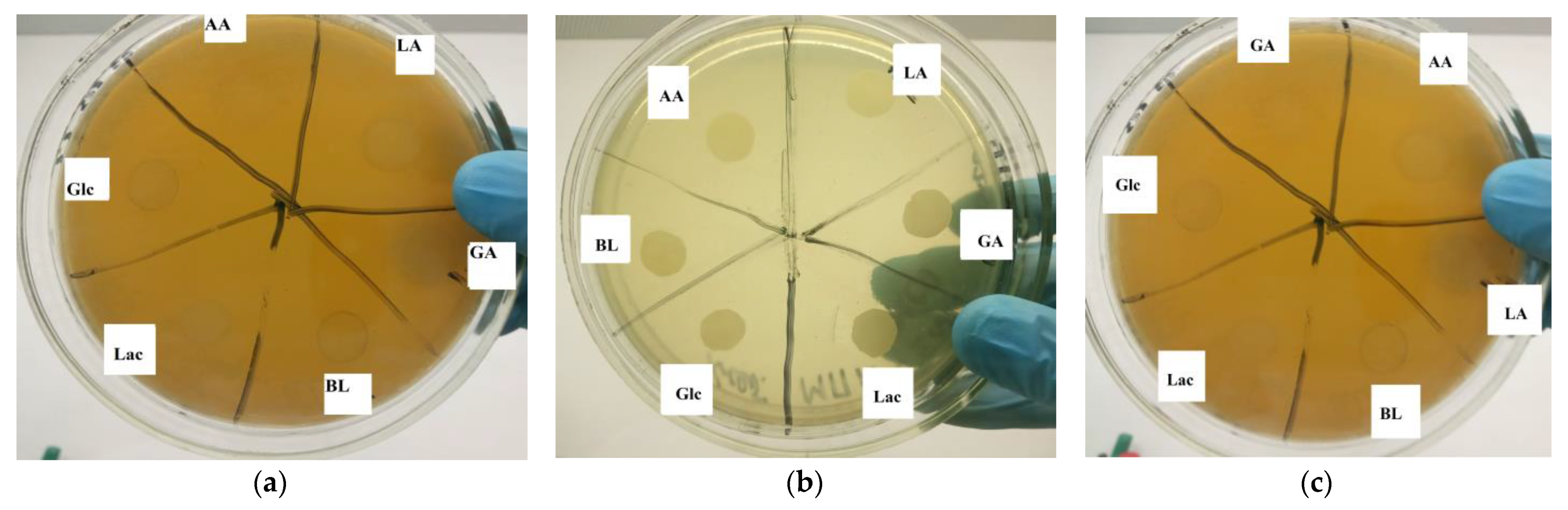 Materials 17 00981 g014