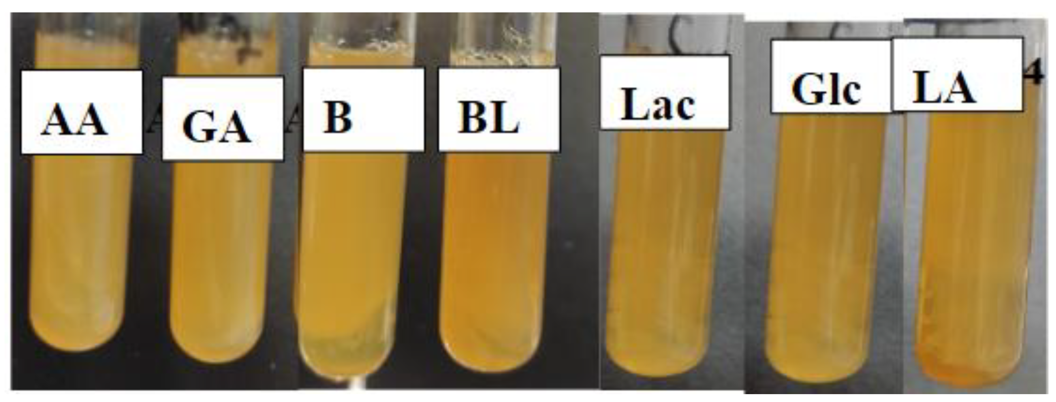 Materials 17 00981 g015