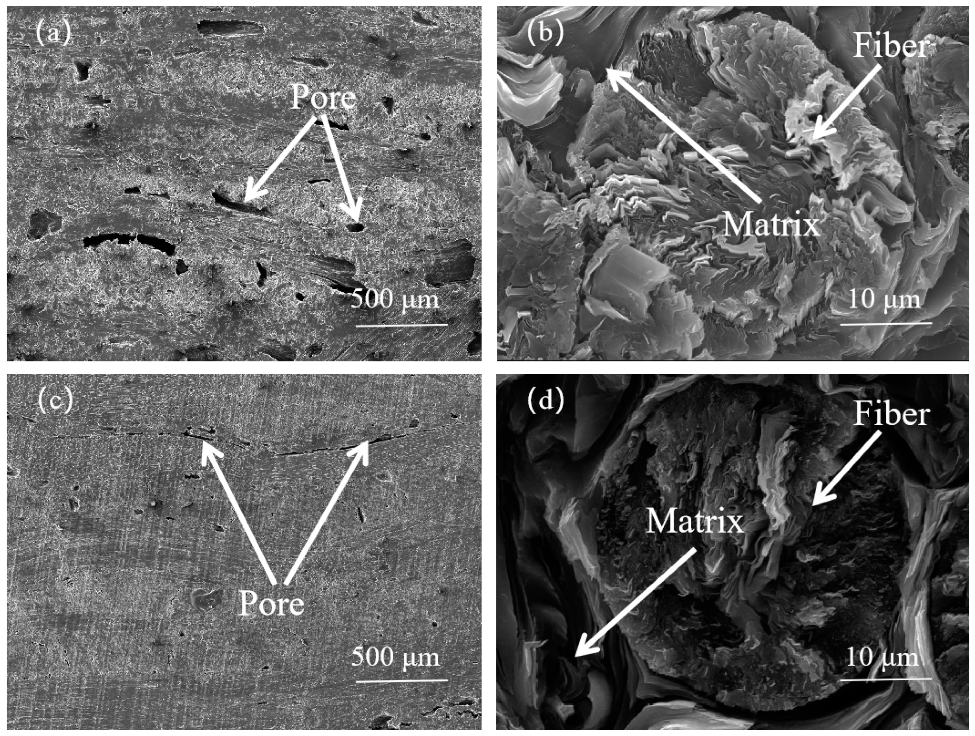 Materials 17 00983 g004