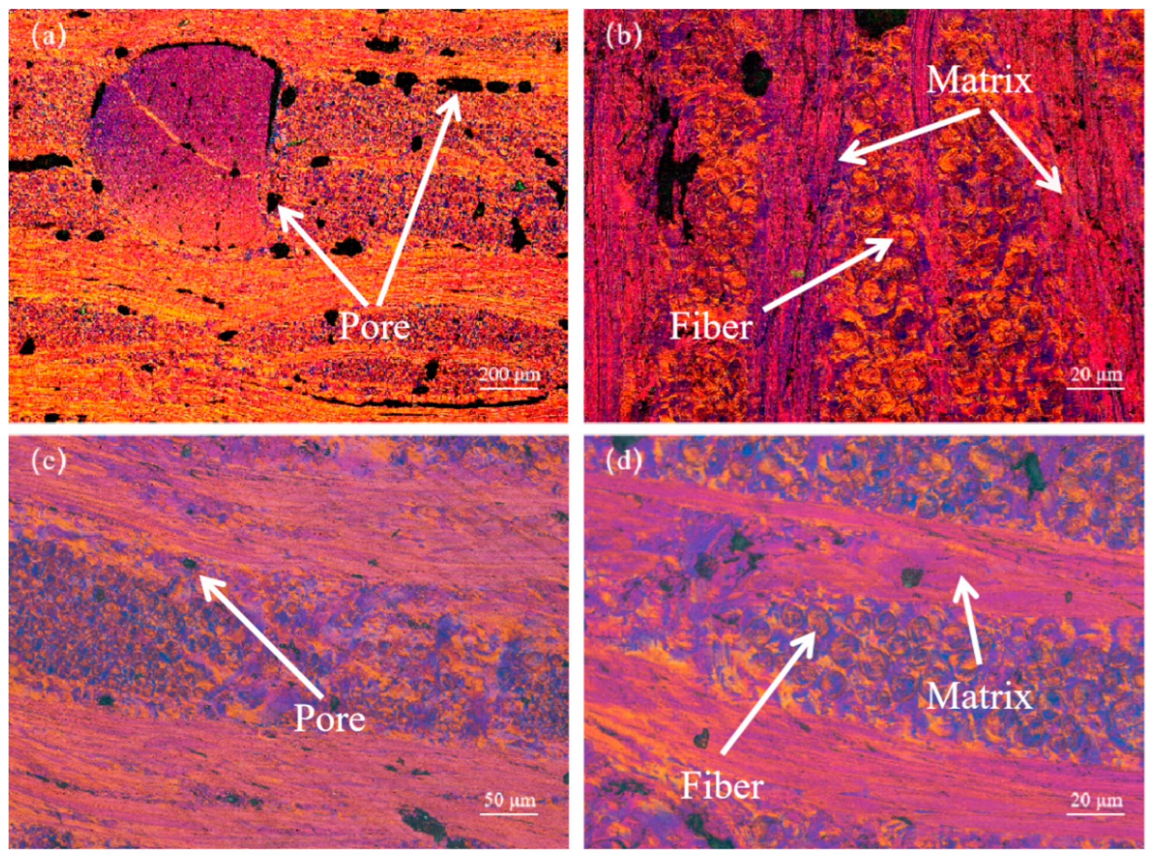 Materials 17 00983 g005