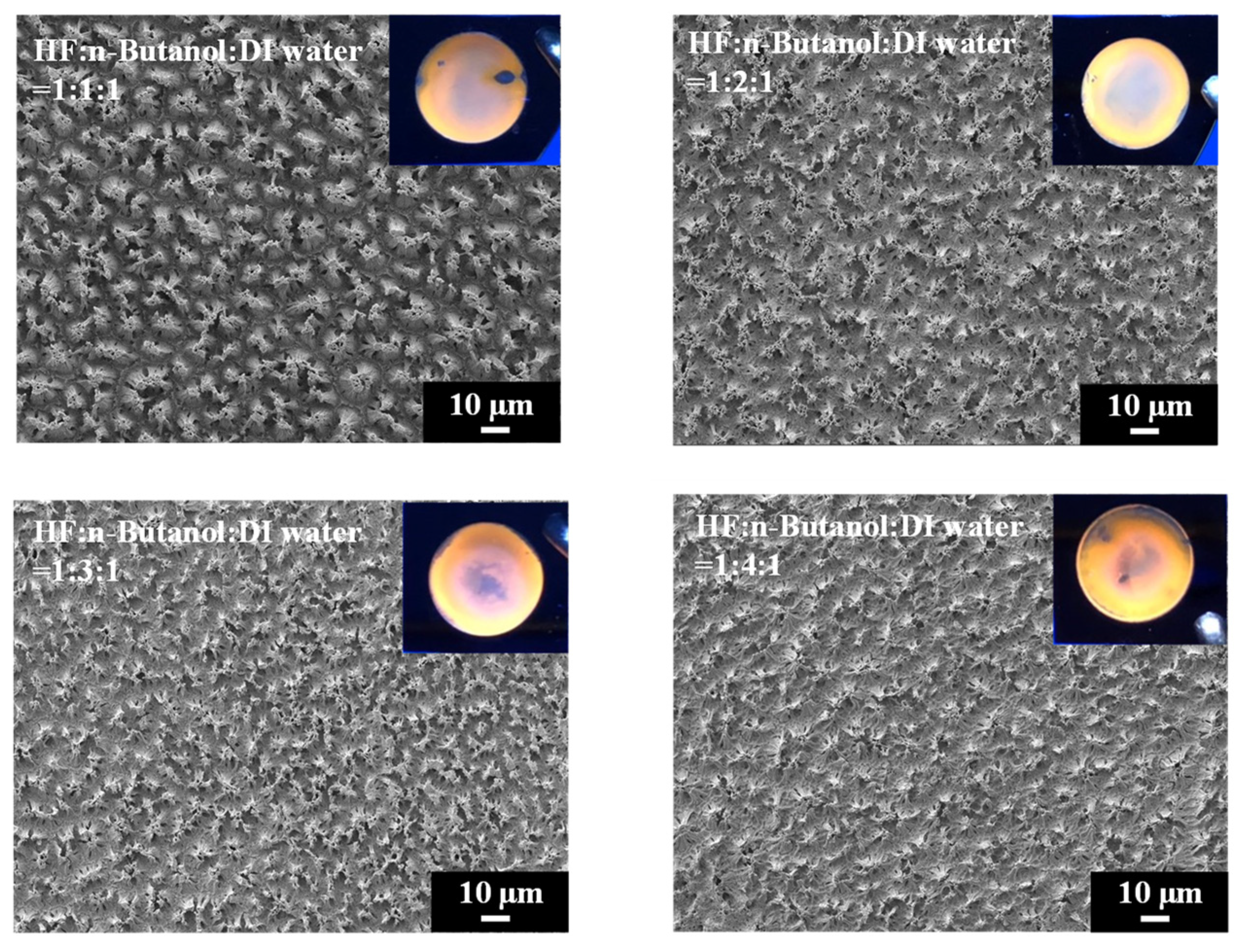 Materials 17 00989 g005