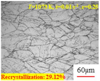 Materials 17 00991 i002