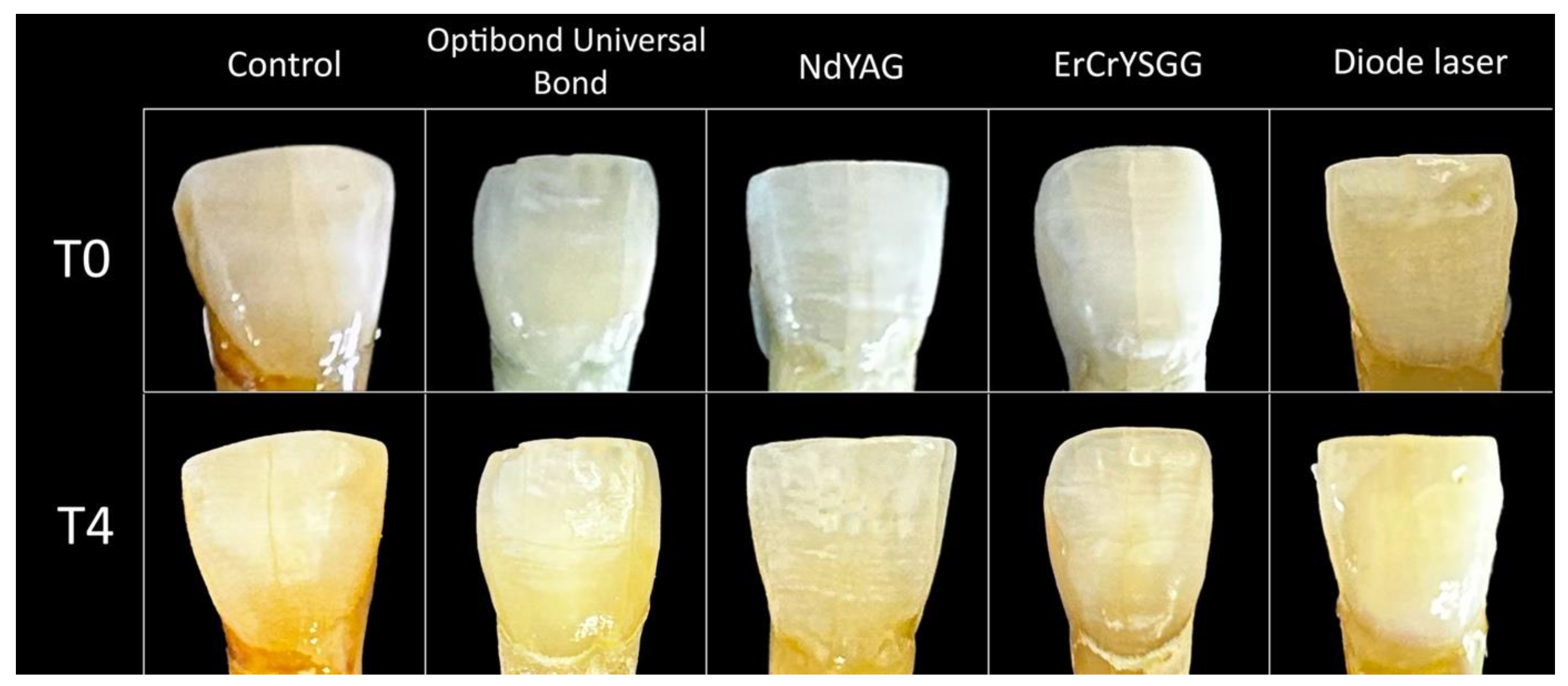 Materials 17 01015 g004