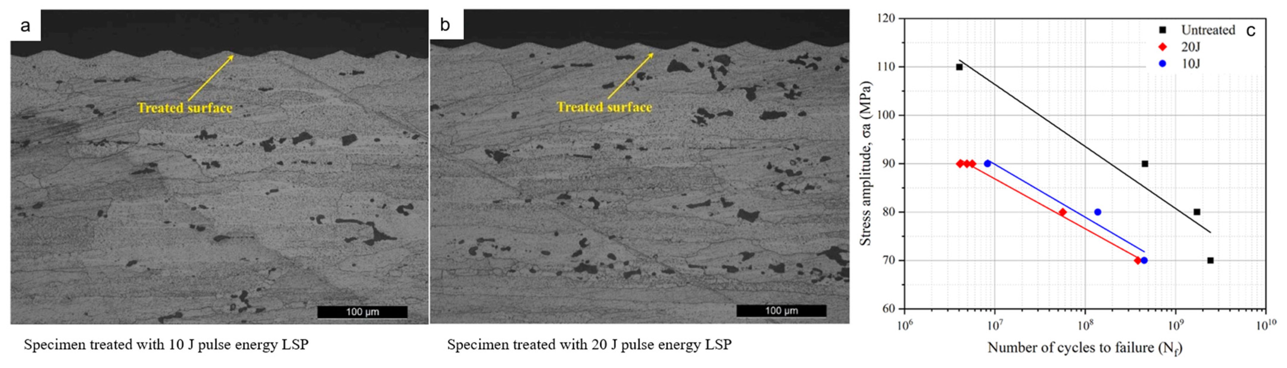 Materials 17 01019 g011