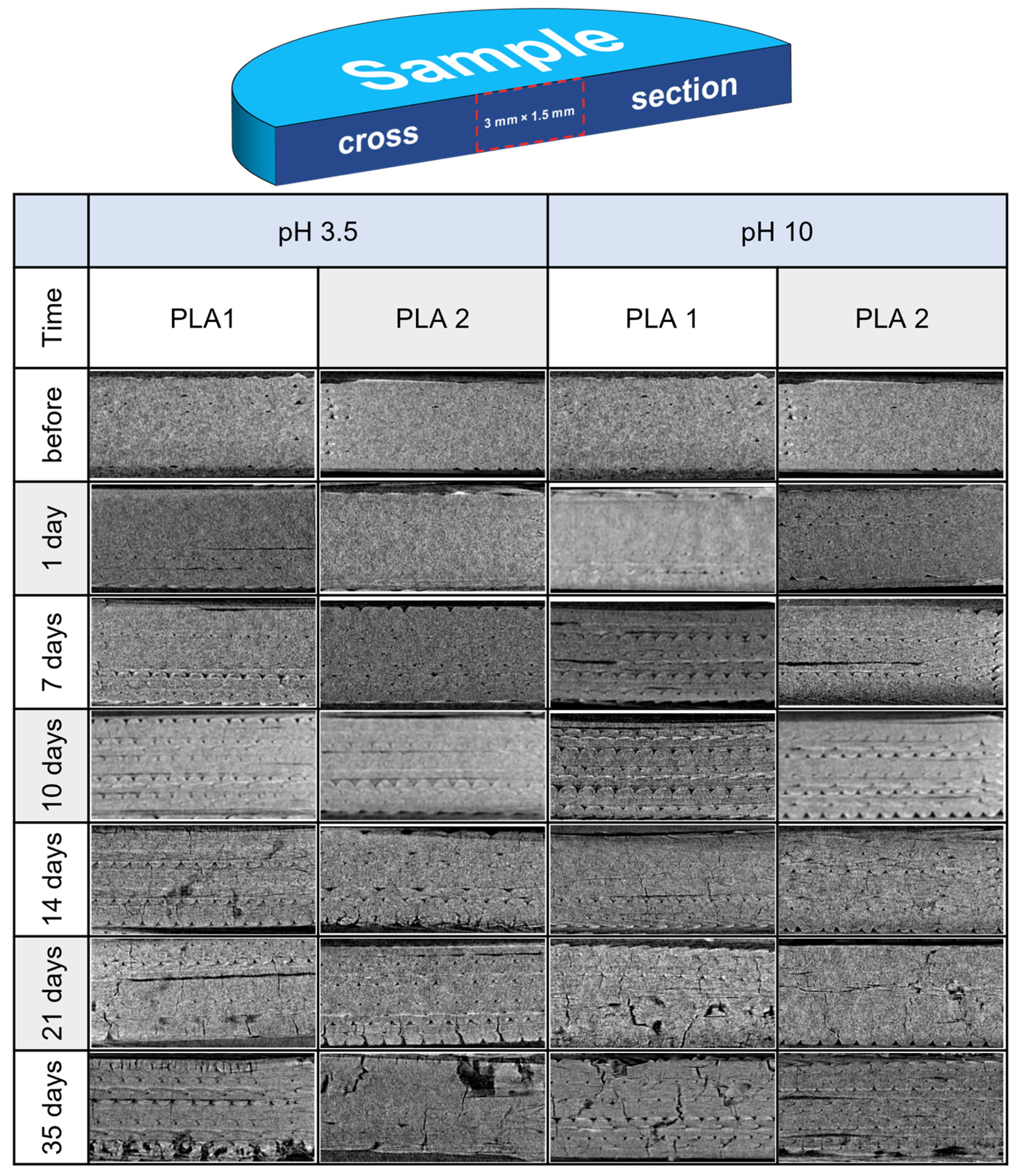 Materials 17 01043 g002