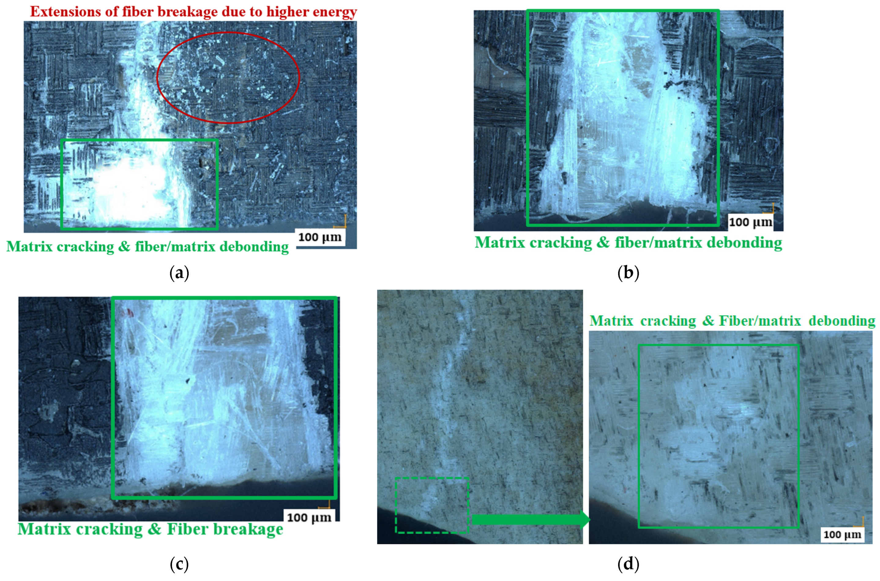 Materials 17 01044 g007