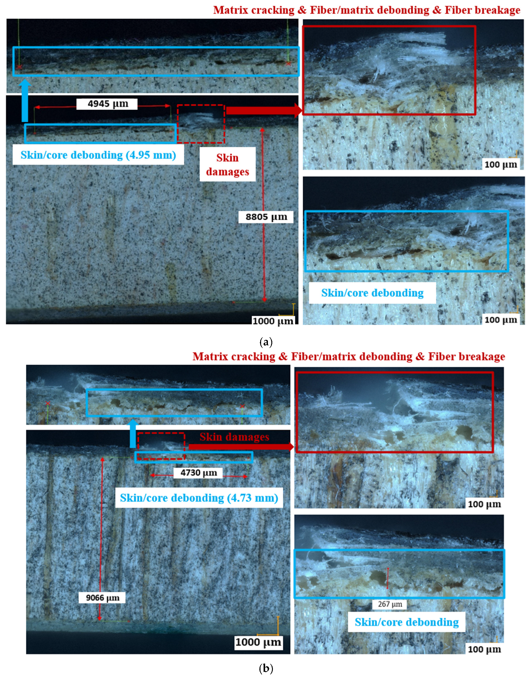 Materials 17 01044 g008a