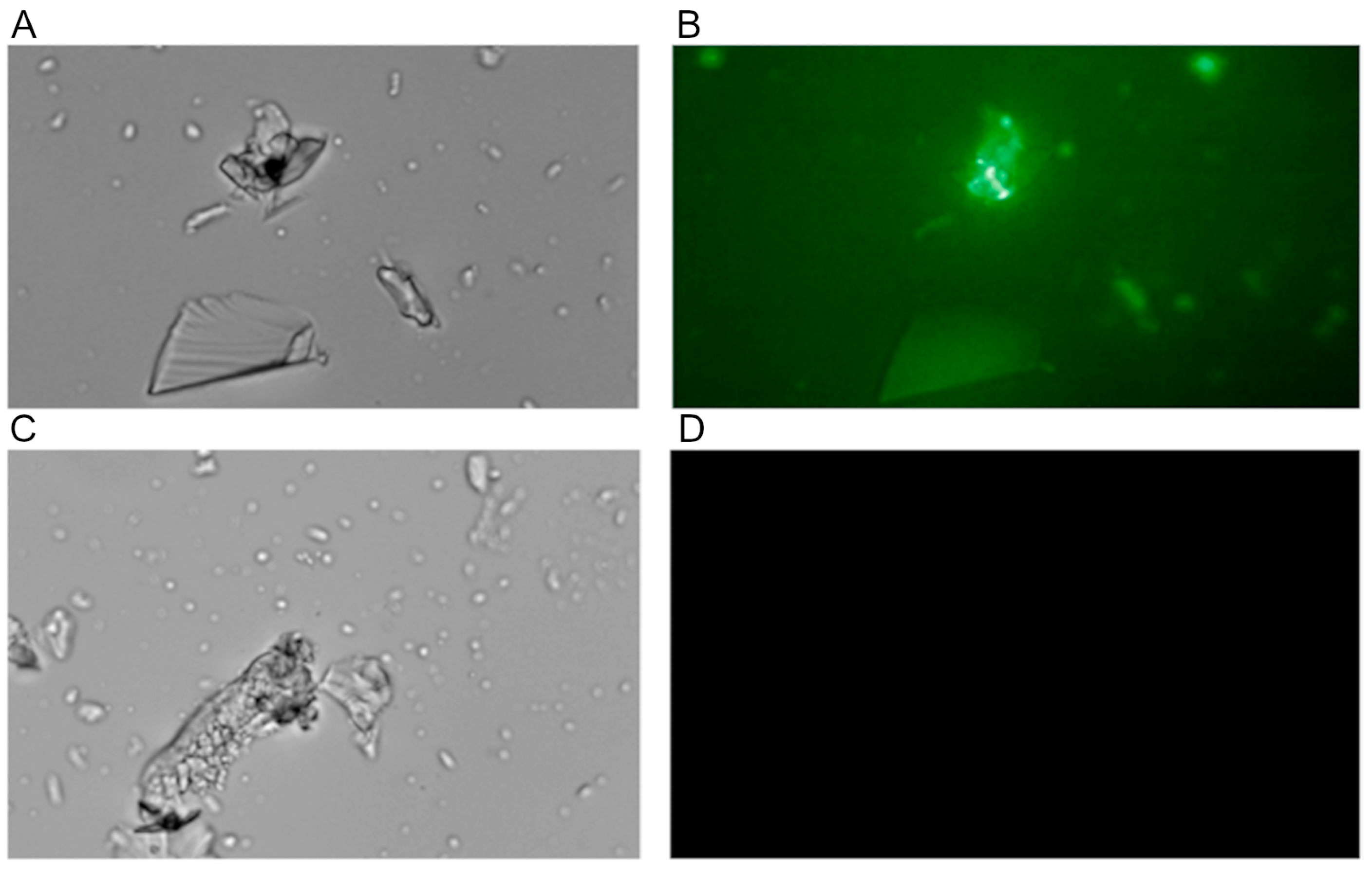 Materials 17 01045 g005