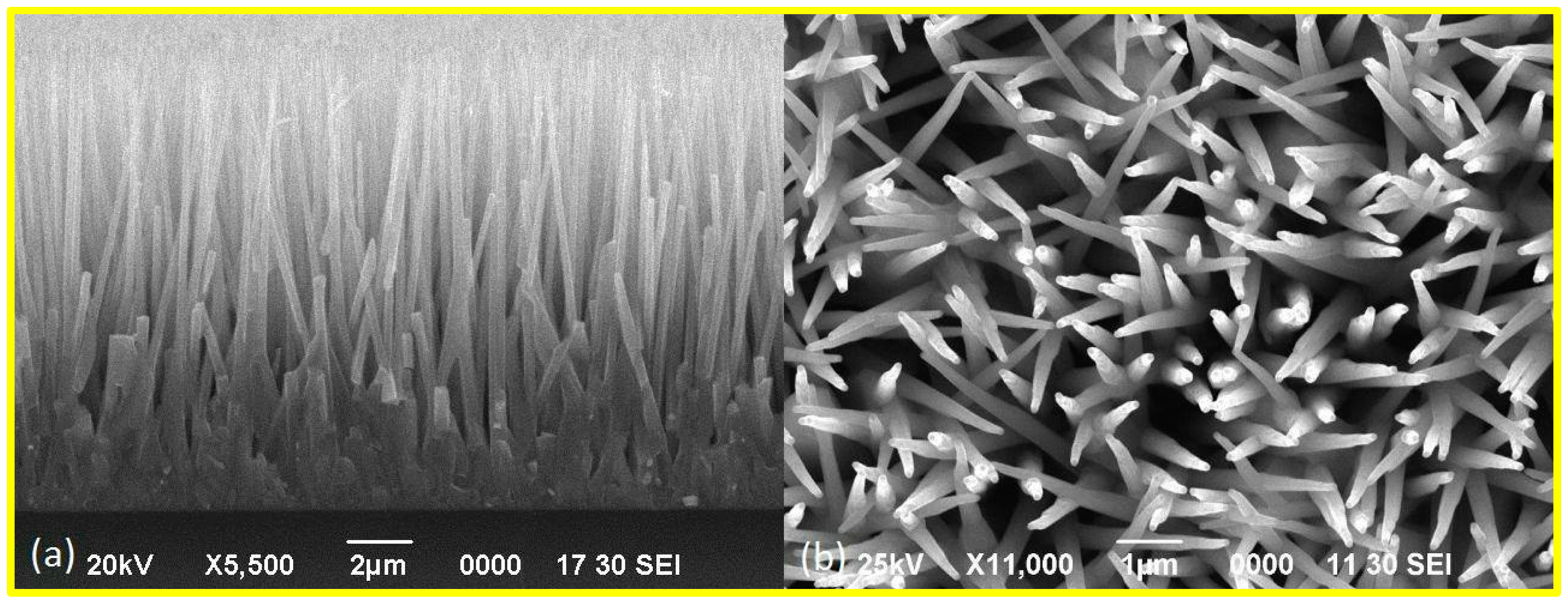 Materials 17 01053 g001