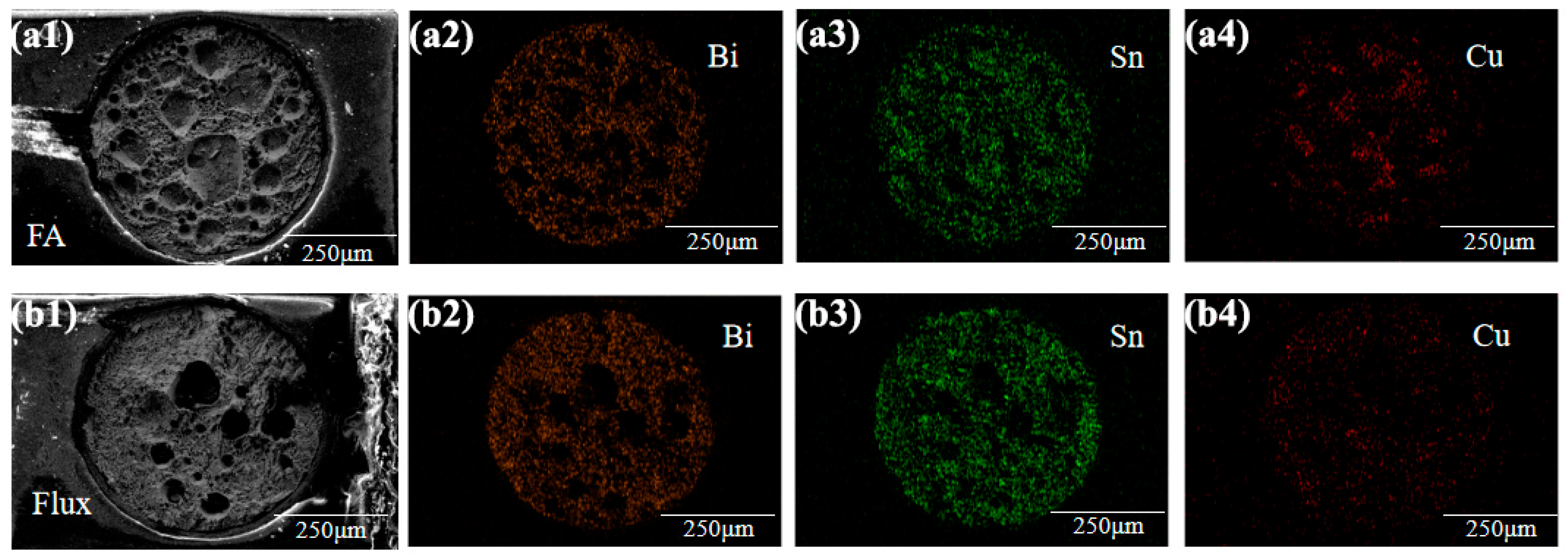 Materials 17 01055 g005