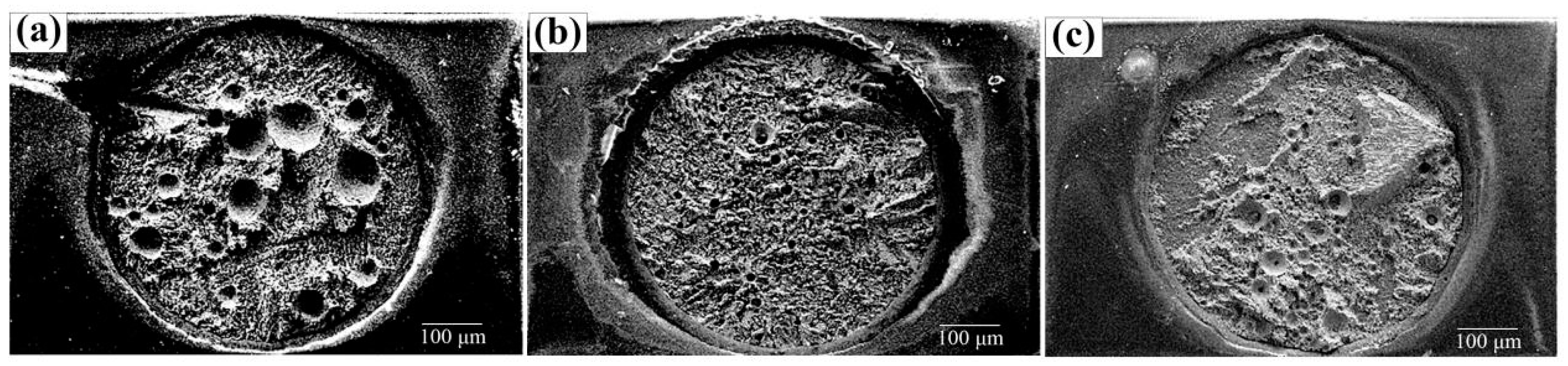 Materials 17 01055 g011