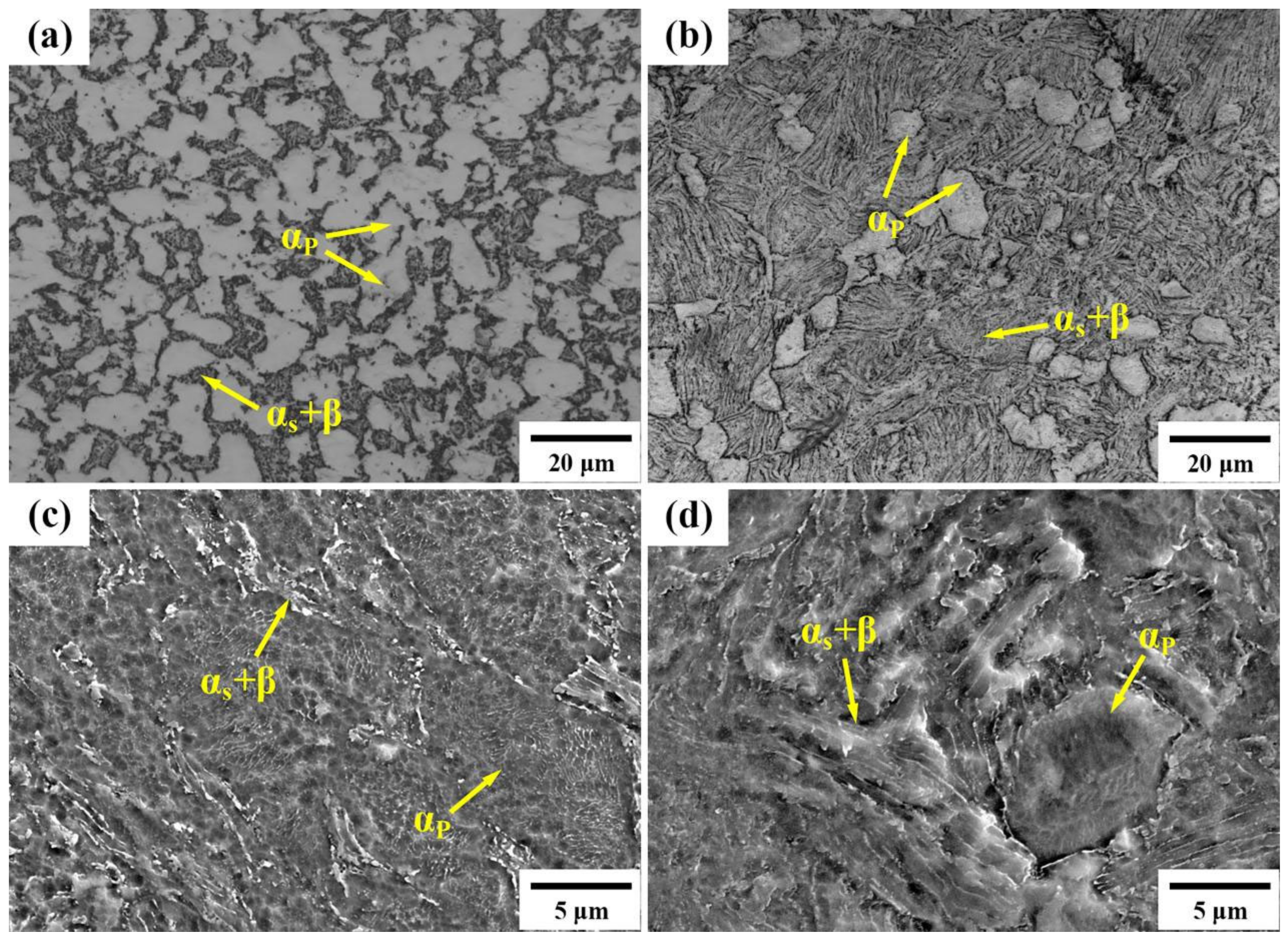 Materials 17 01060 g005