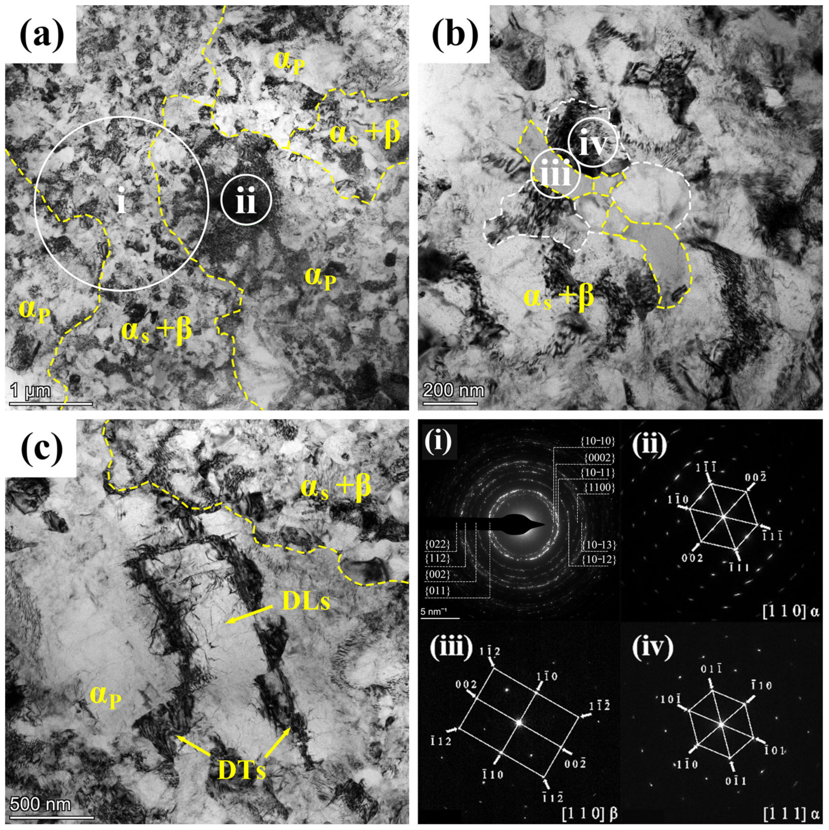 Materials 17 01060 g006