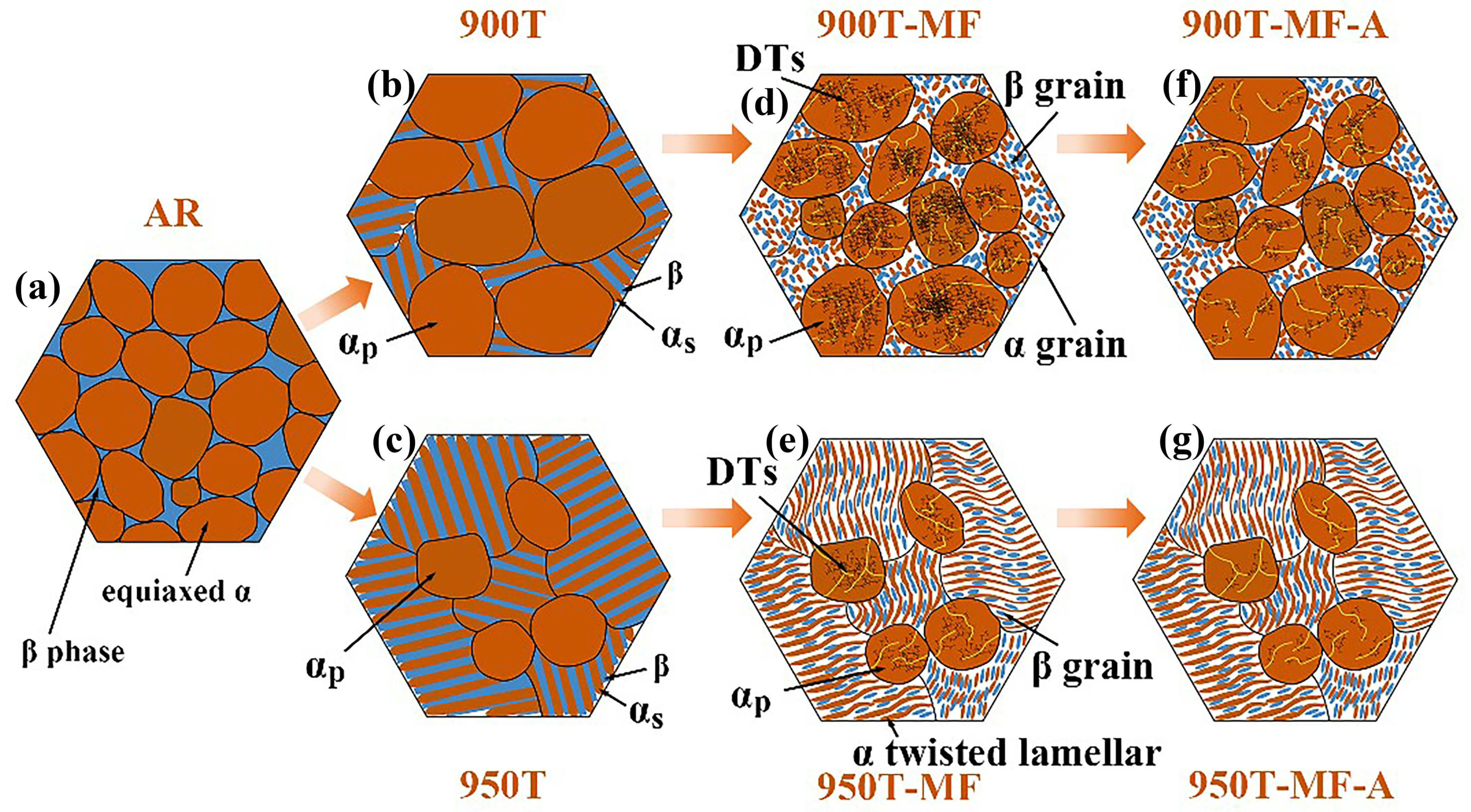 Materials 17 01060 g011