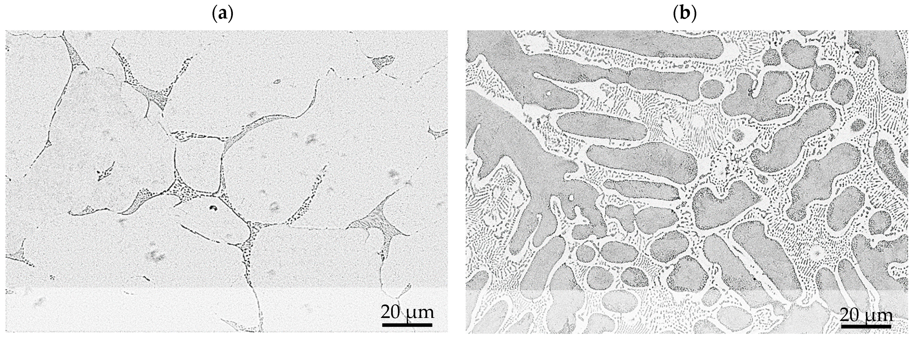 Materials 17 01062 g002