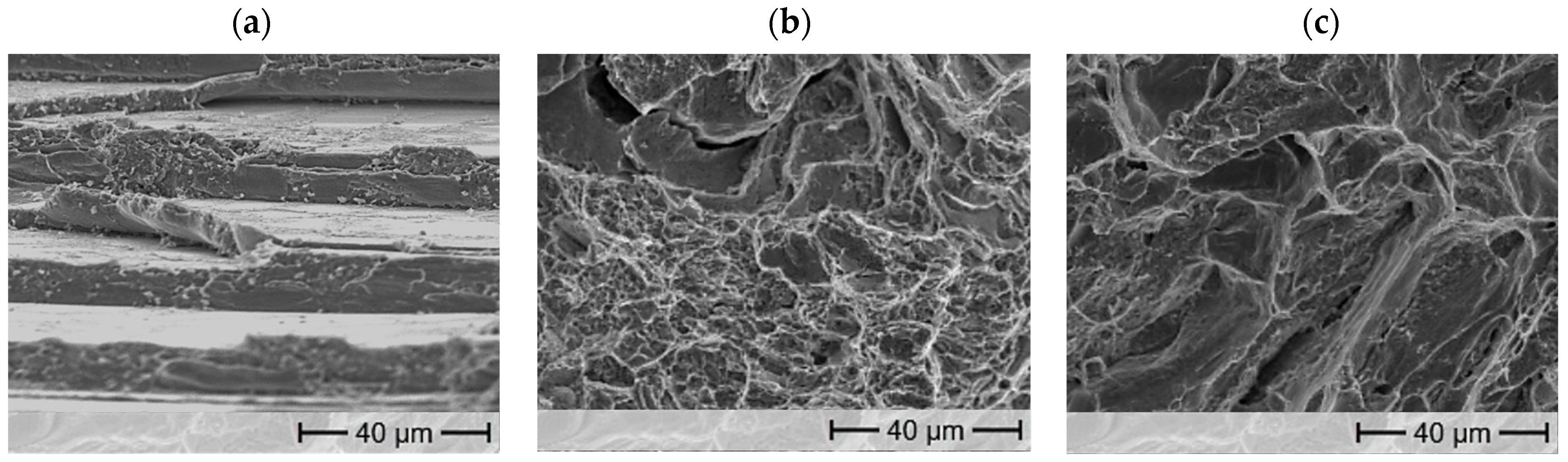 Materials 17 01062 g007