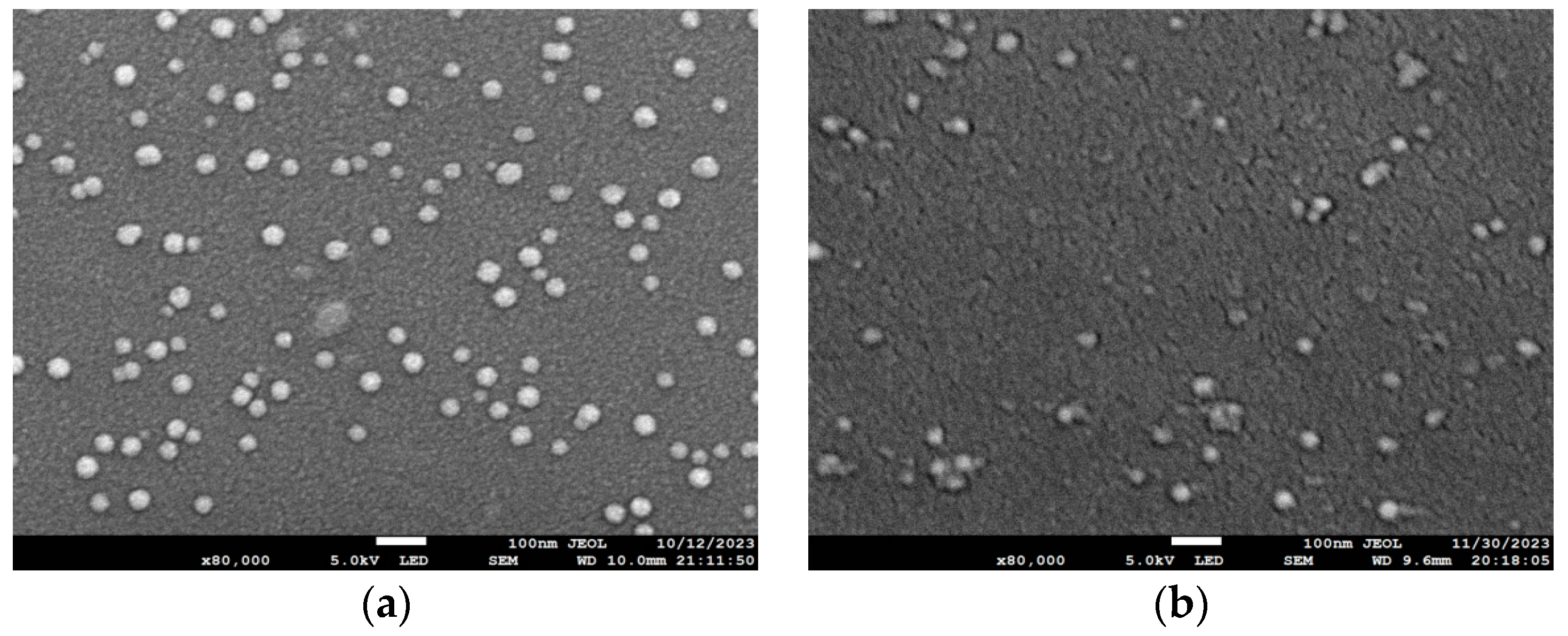 Materials 17 01090 g008