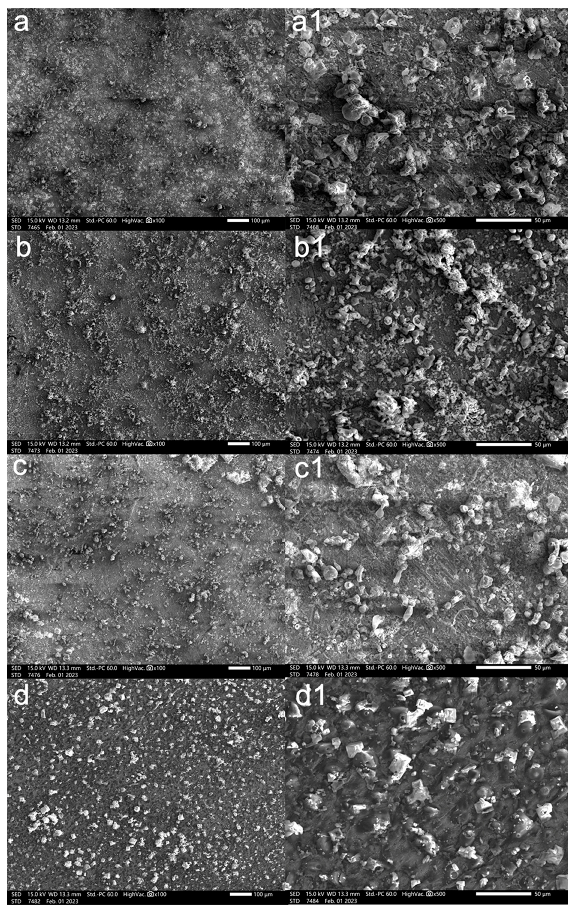 Materials 17 01094 g006