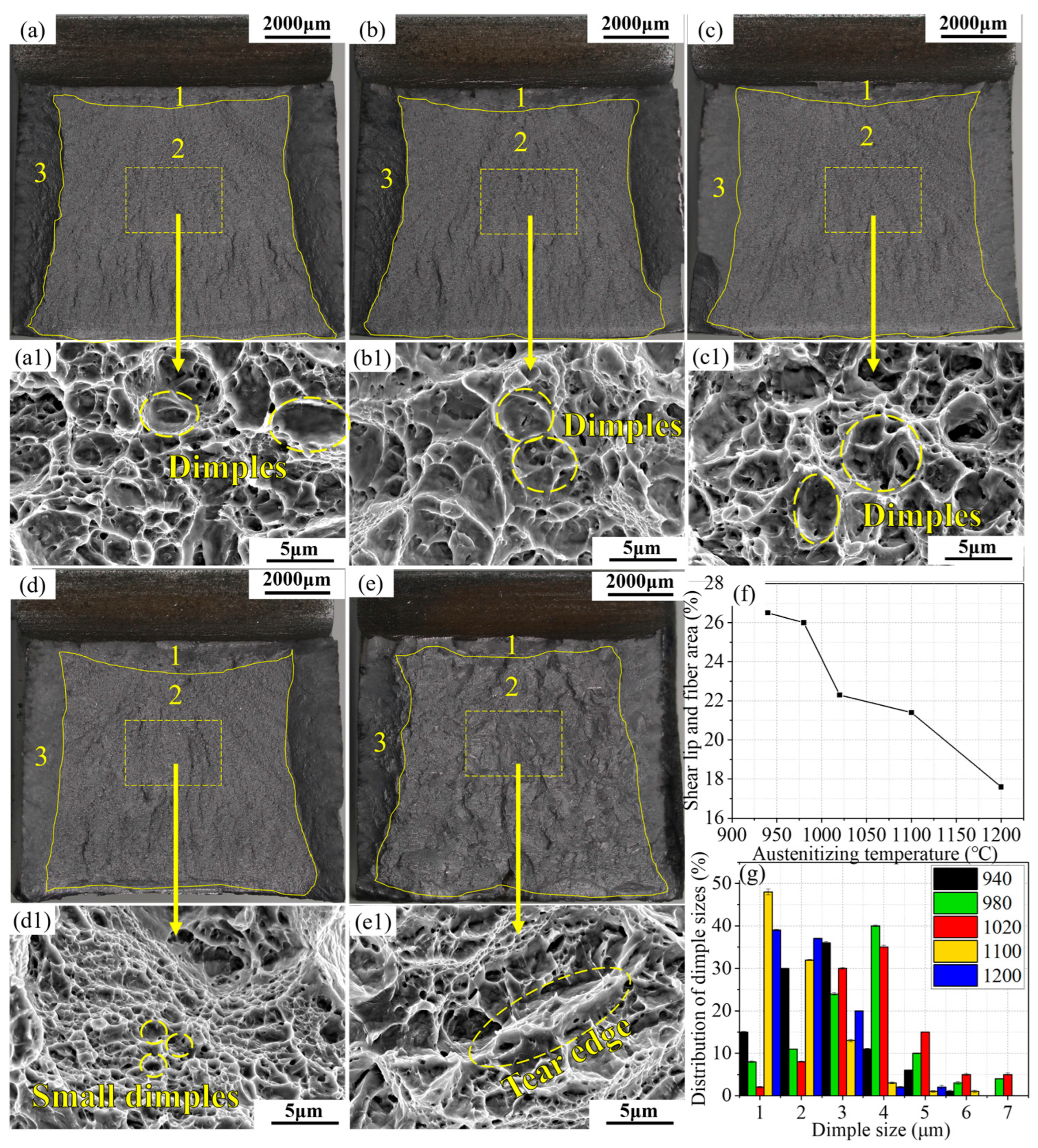 Materials 17 01099 g006
