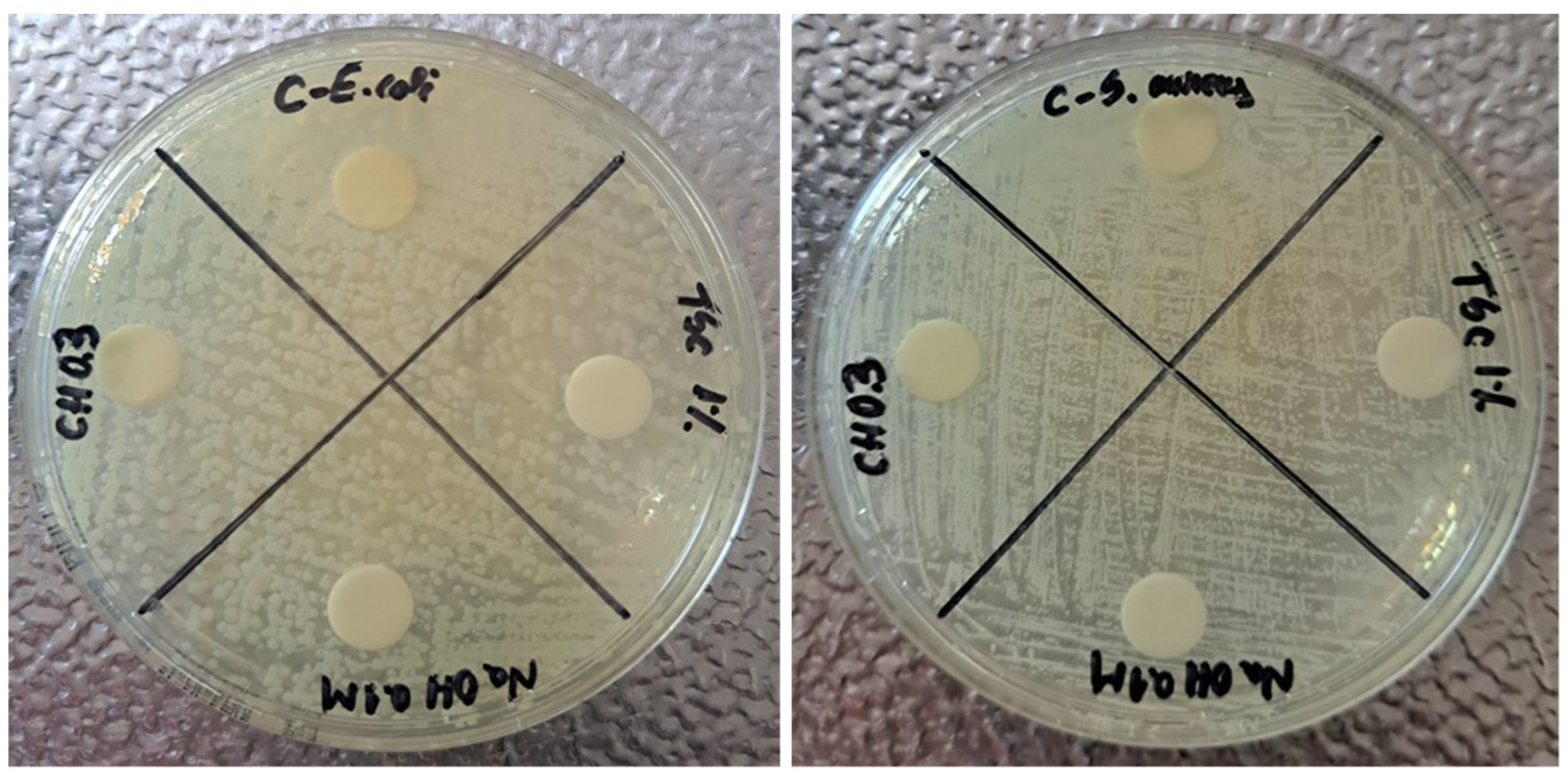 Materials 17 01113 g011