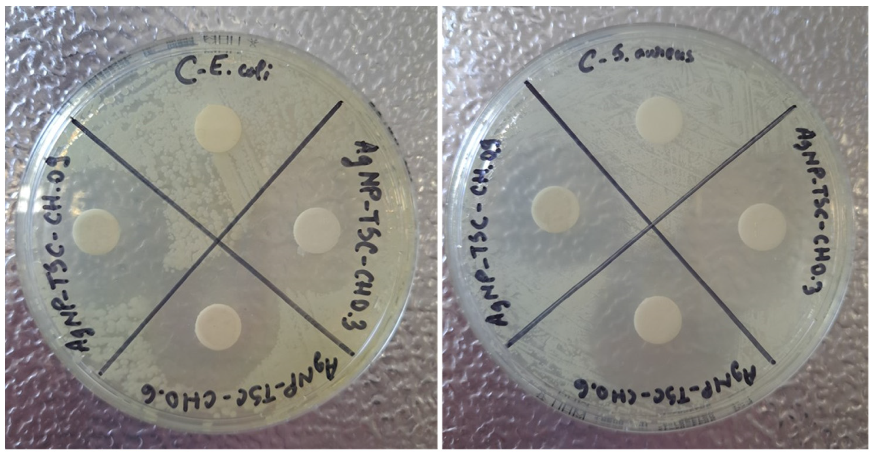 Materials 17 01113 g012