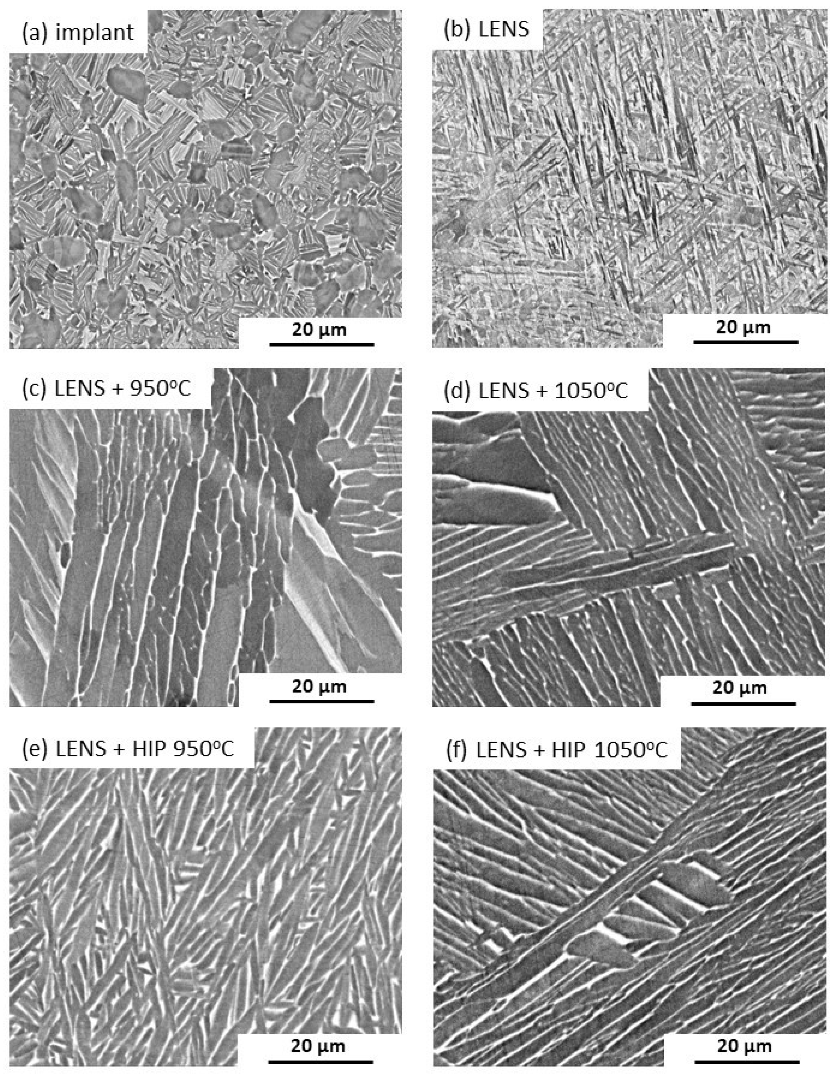 Materials 17 01166 g005