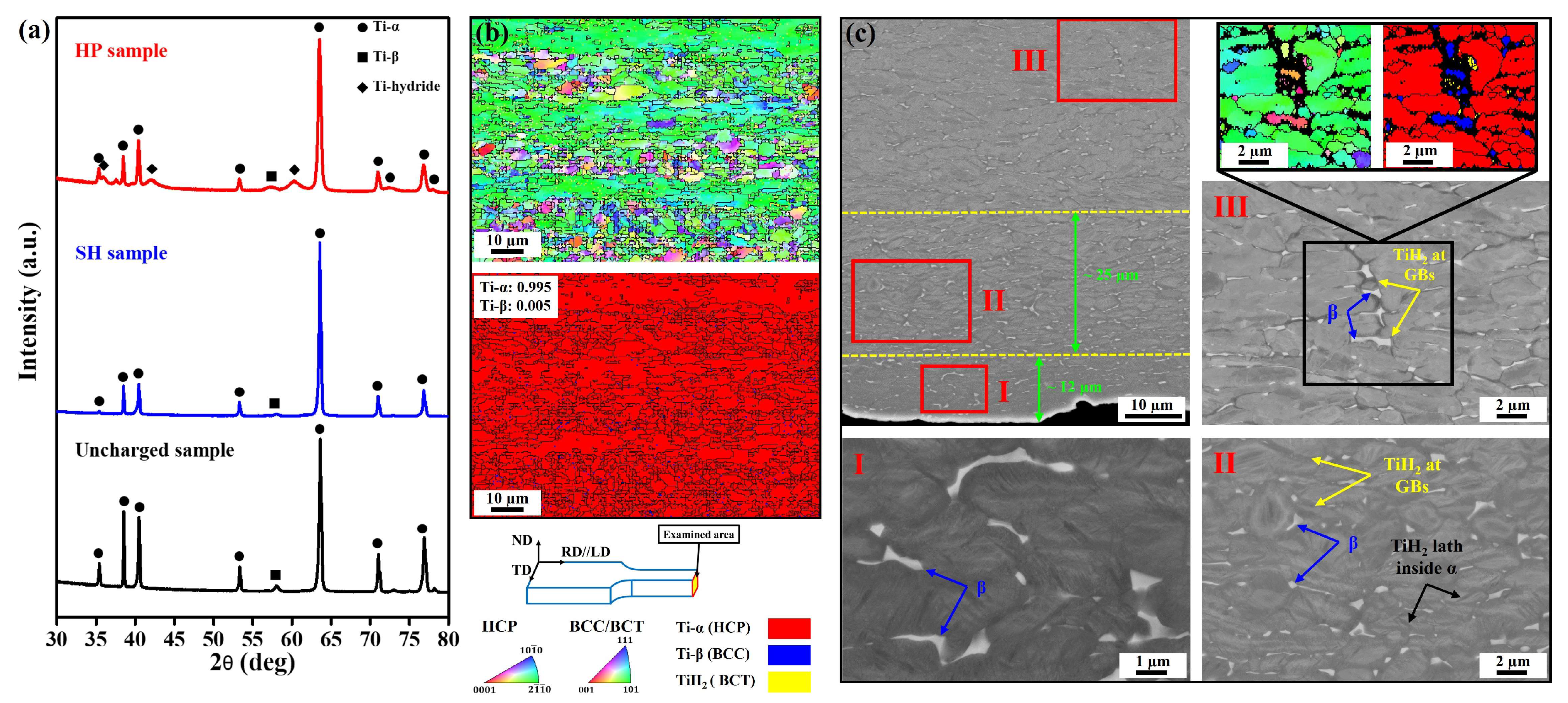 Materials 17 01178 g001
