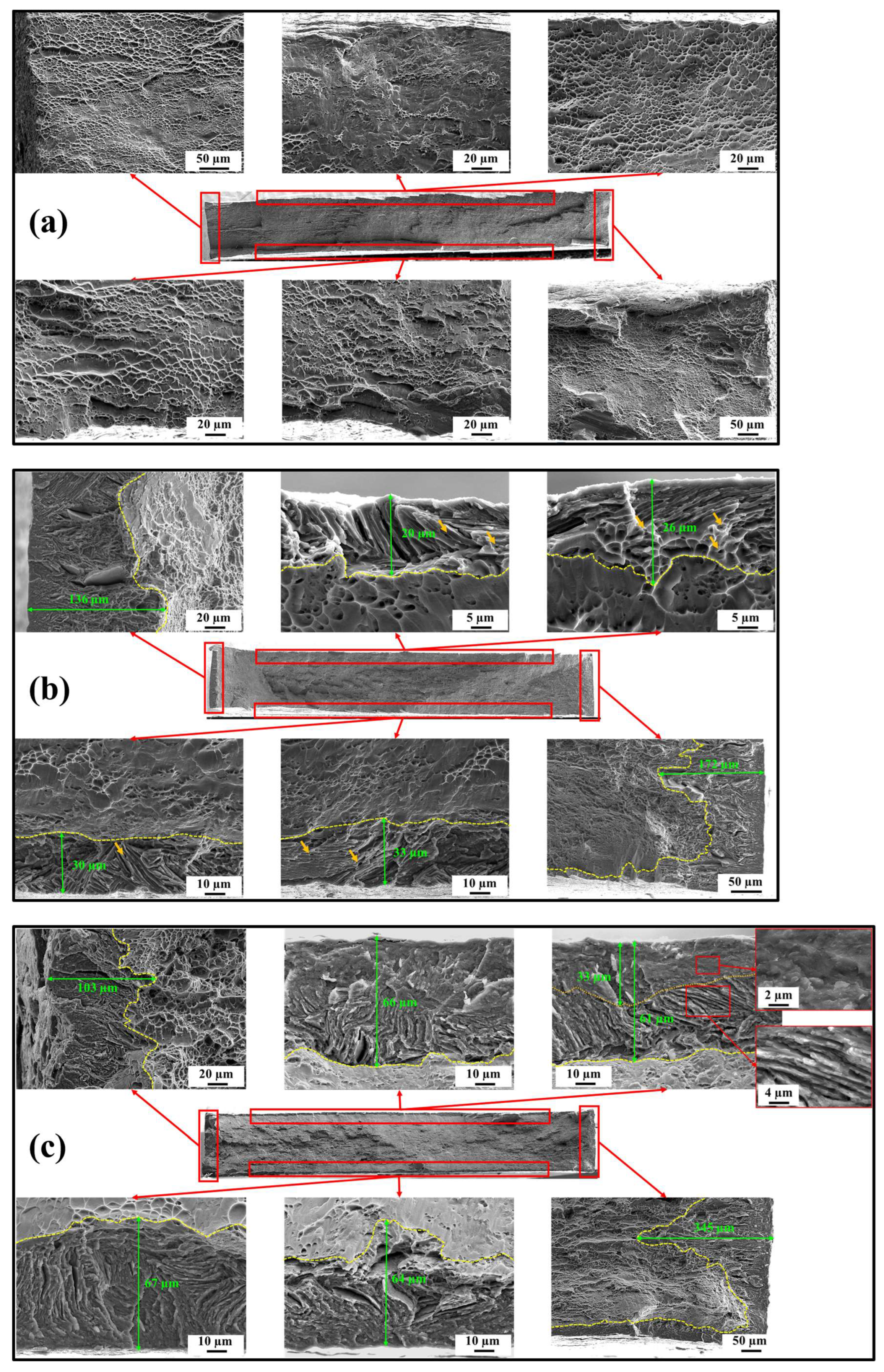 Materials 17 01178 g004