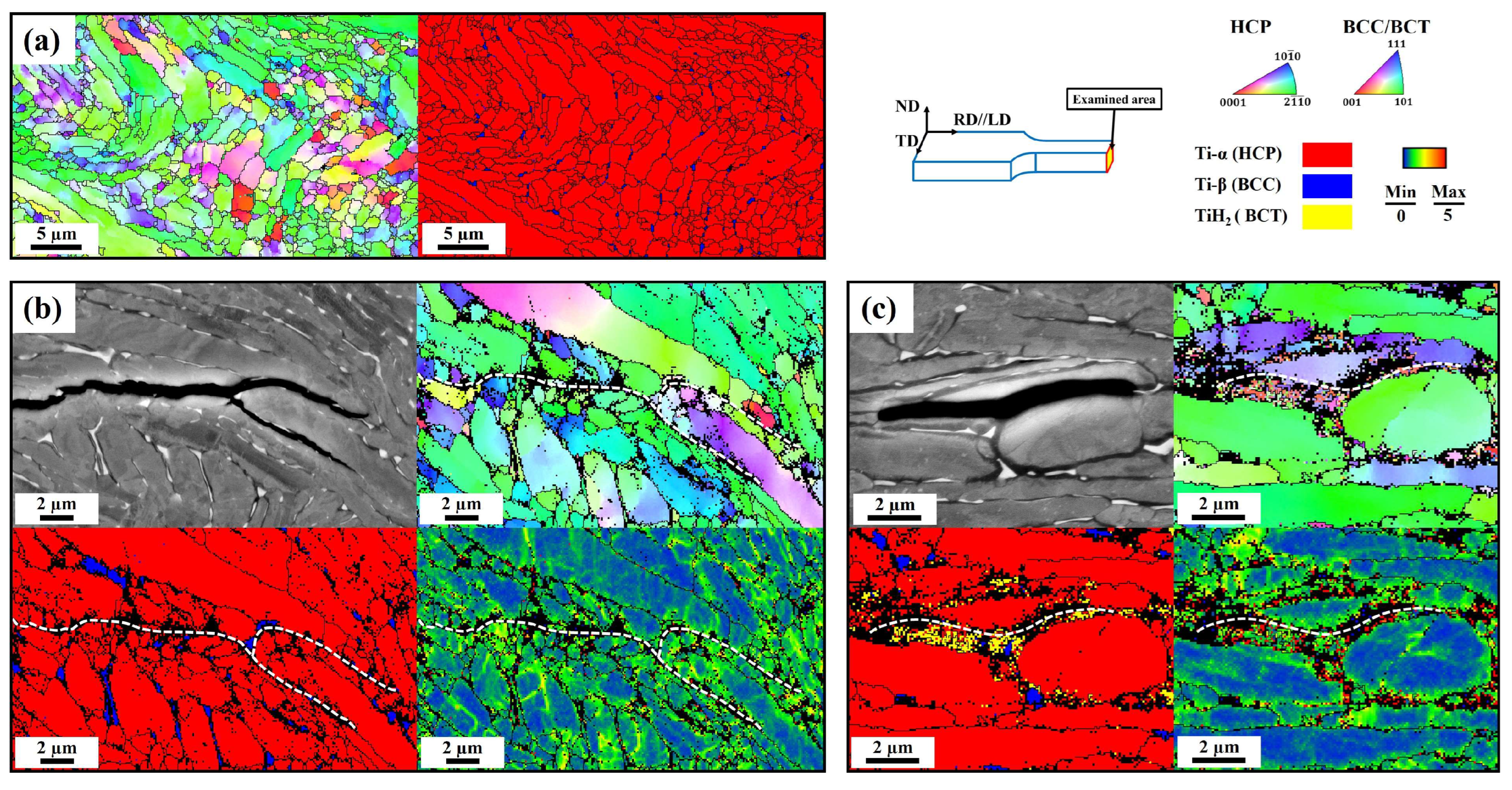 Materials 17 01178 g005