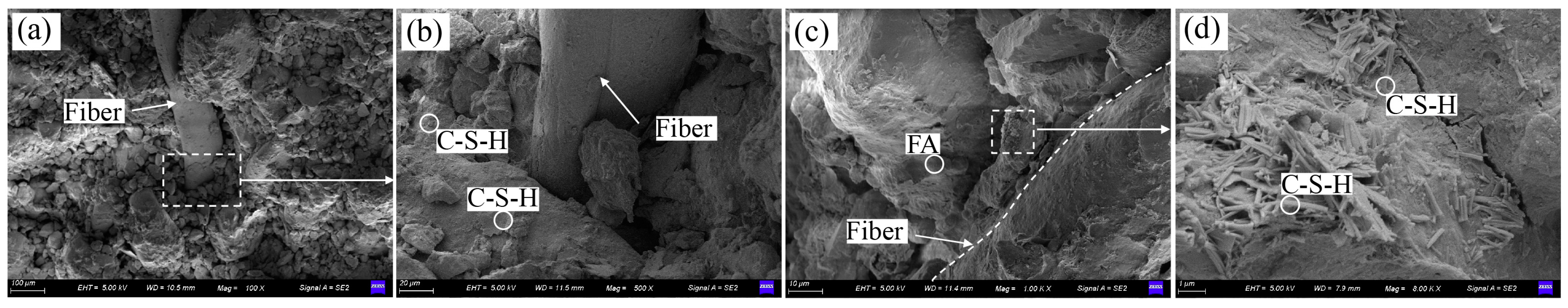 Materials 17 01184 g019