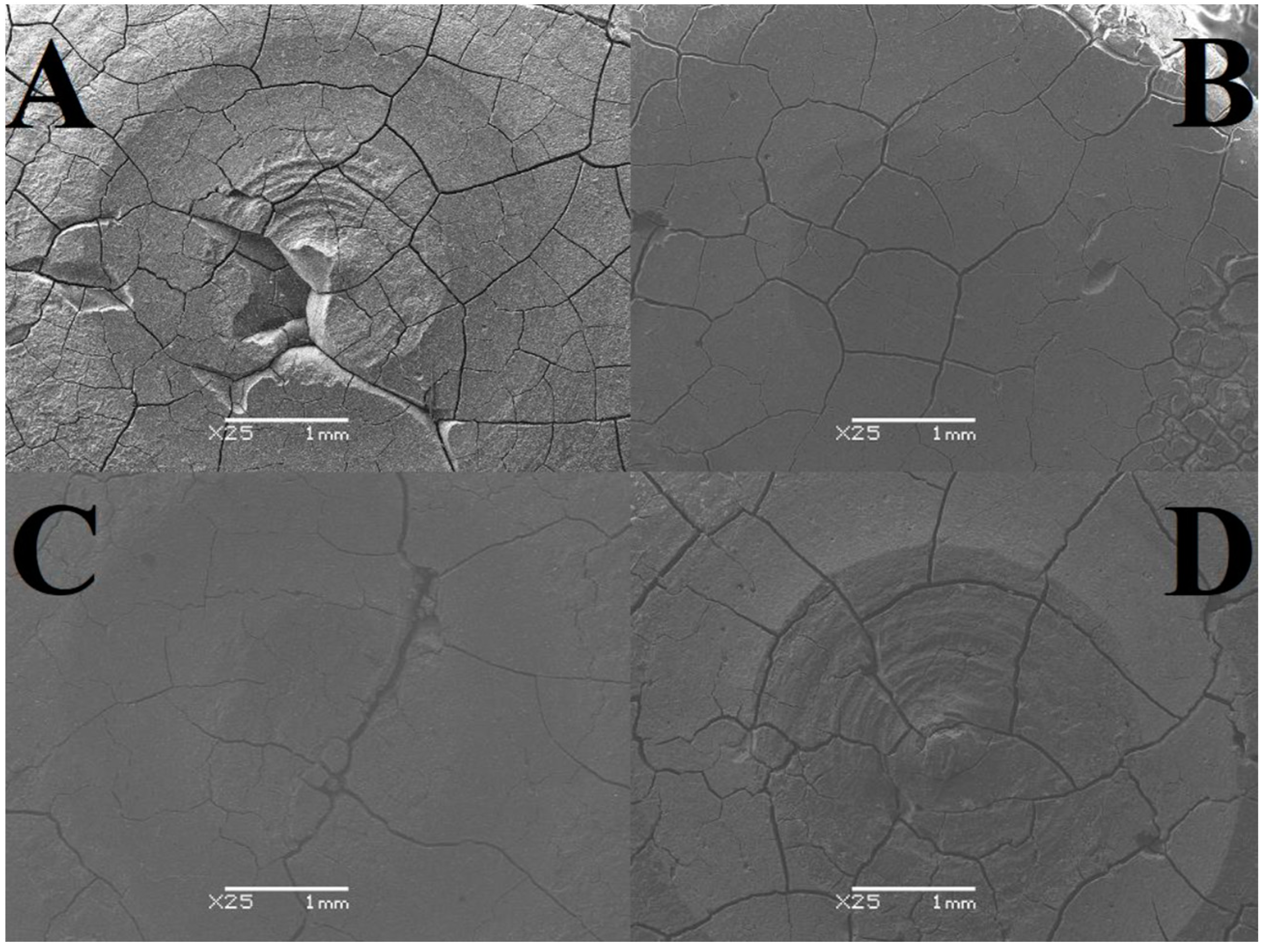 Materials 17 01186 g003