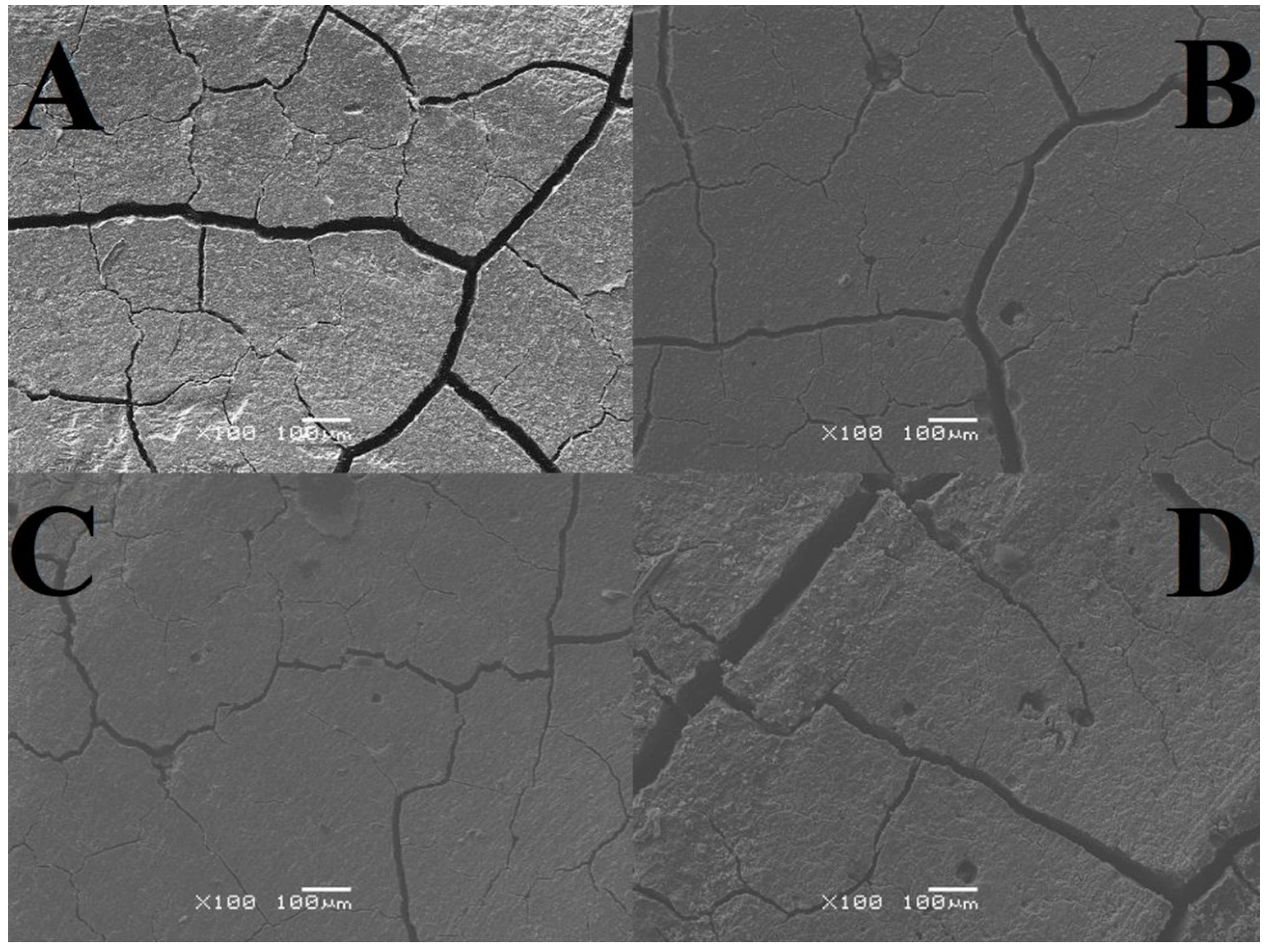 Materials 17 01186 g004