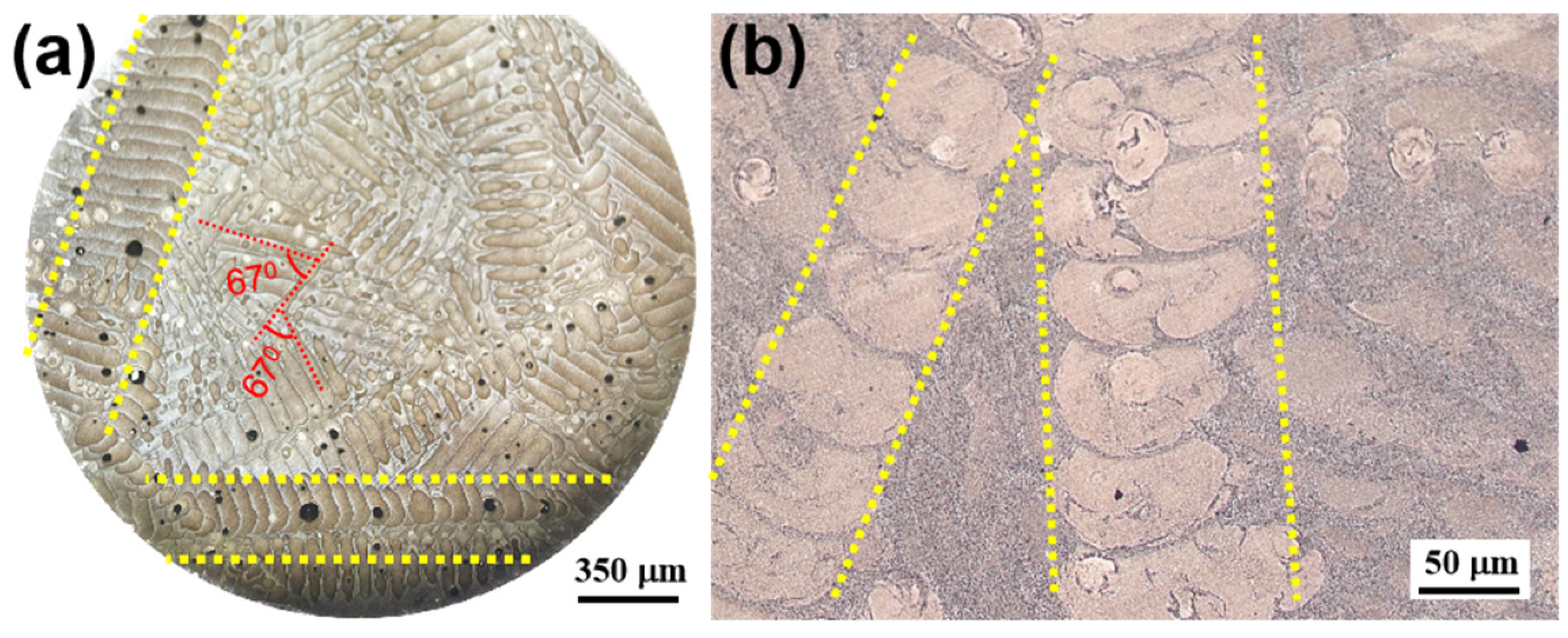 Materials 17 01187 g014