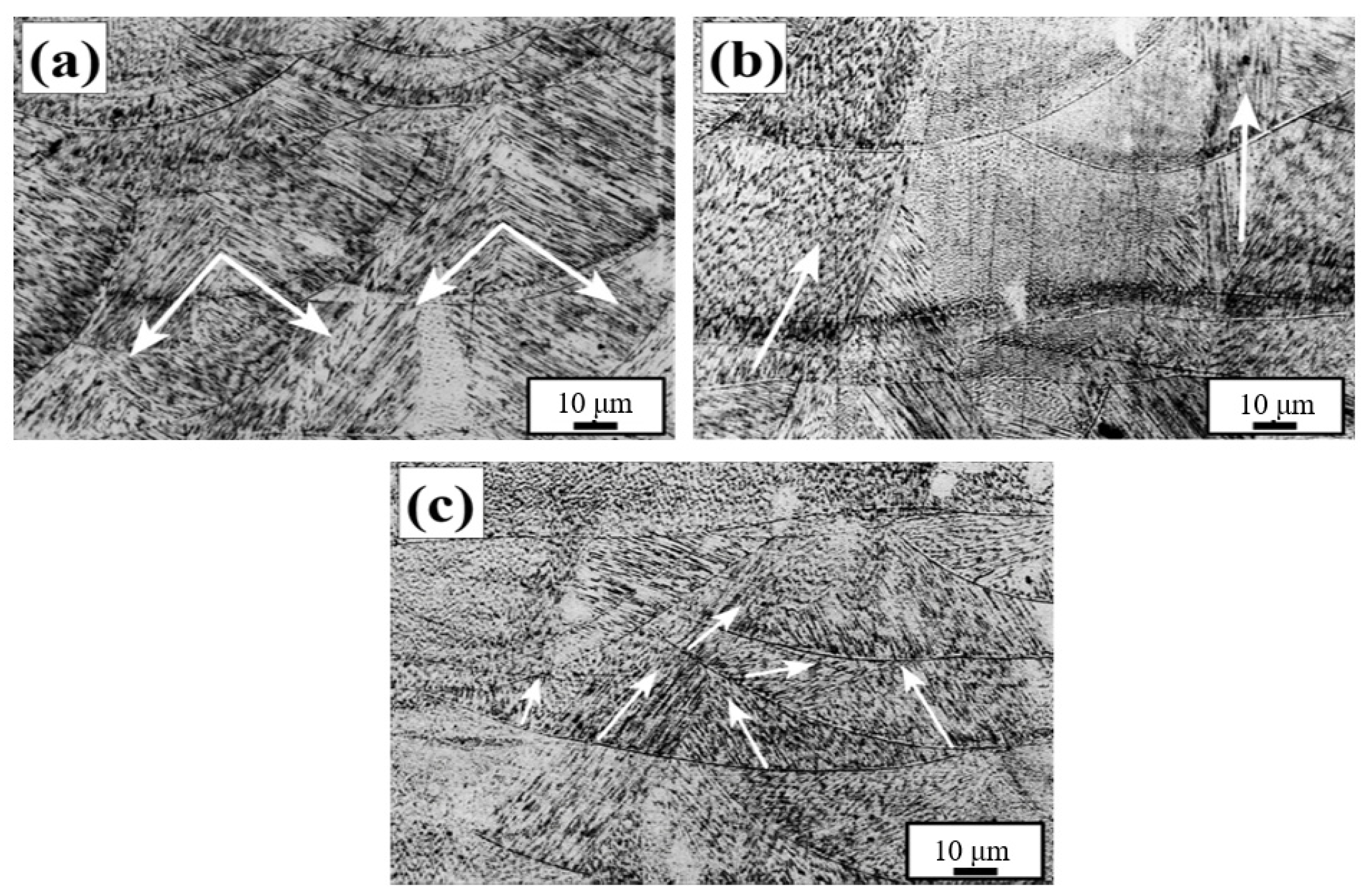 Materials 17 01189 g008