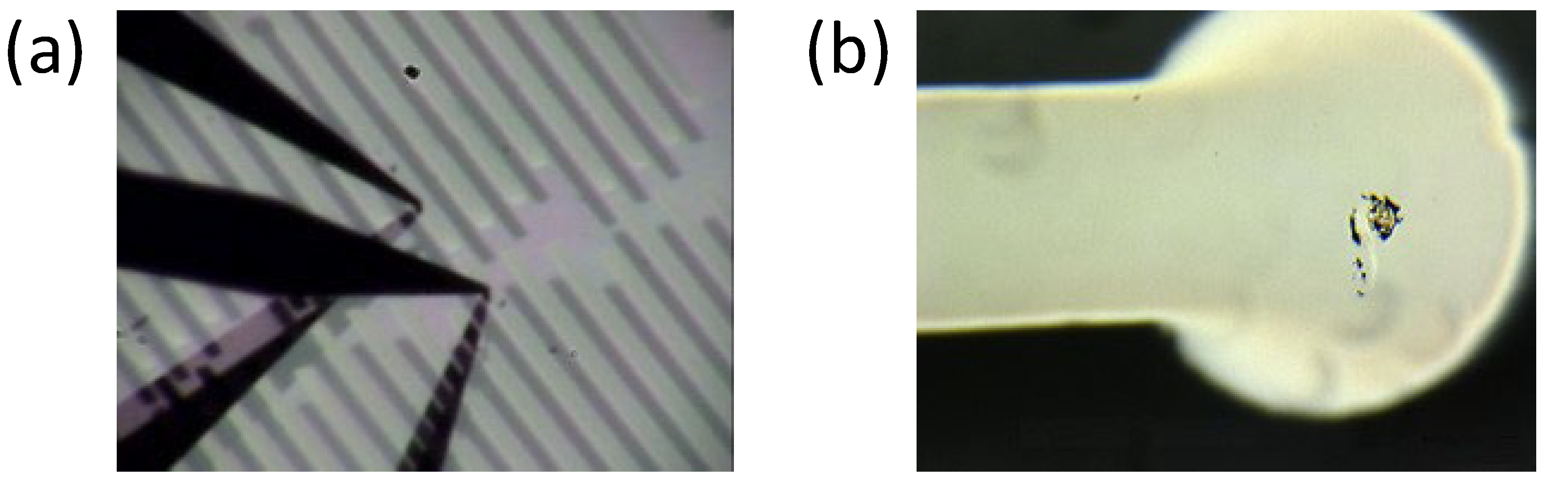 Materials 17 01194 g001