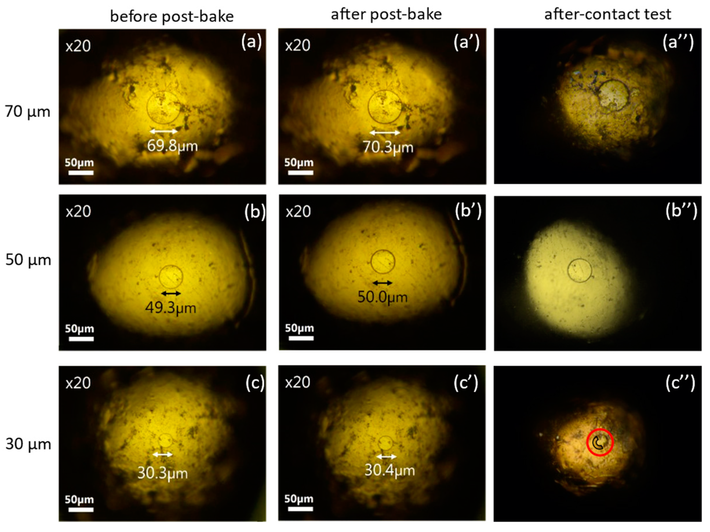 Materials 17 01194 g010