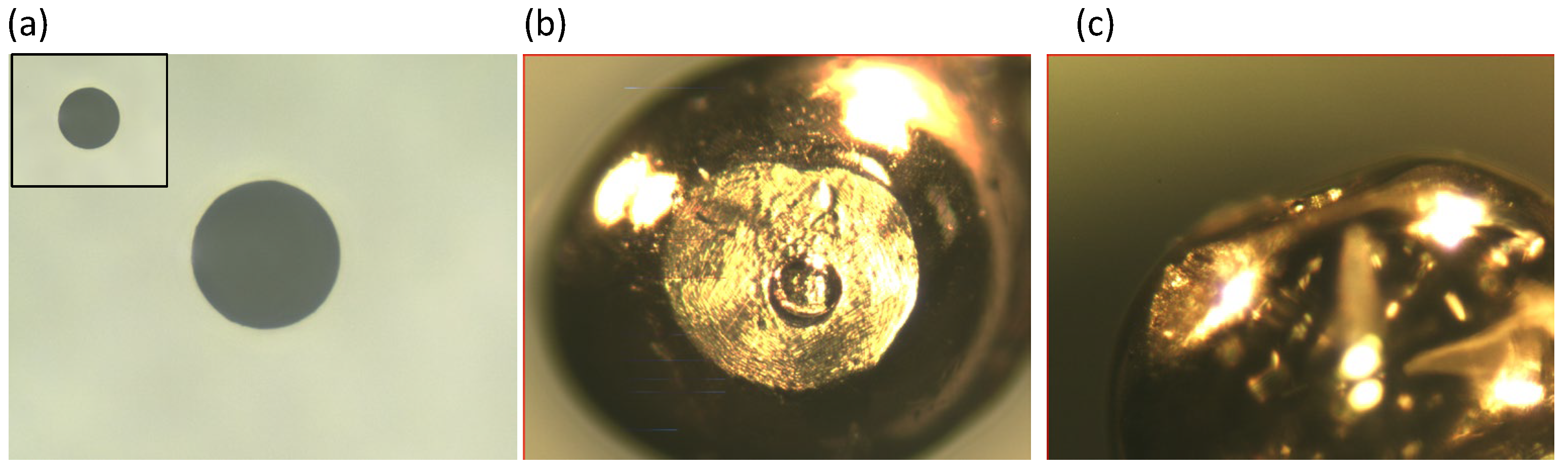 Materials 17 01194 g016