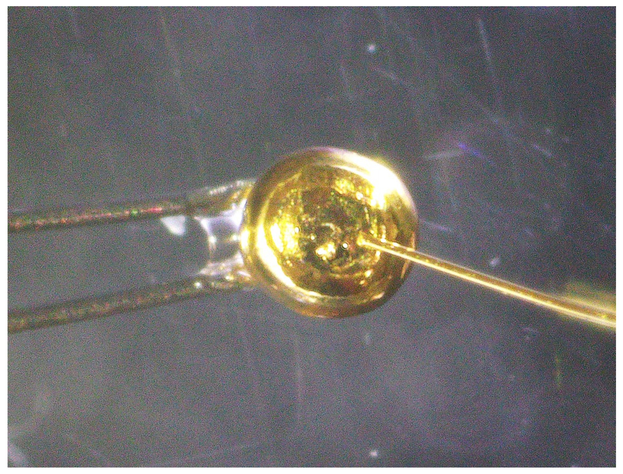 Materials 17 01194 g017