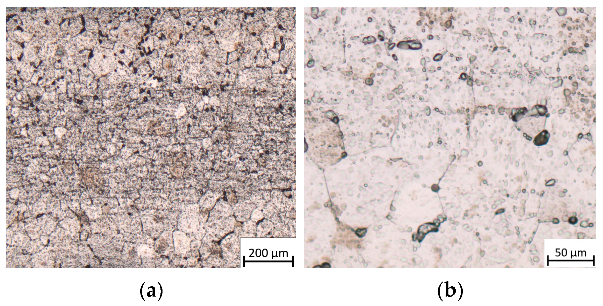 Materials 17 01217 g005