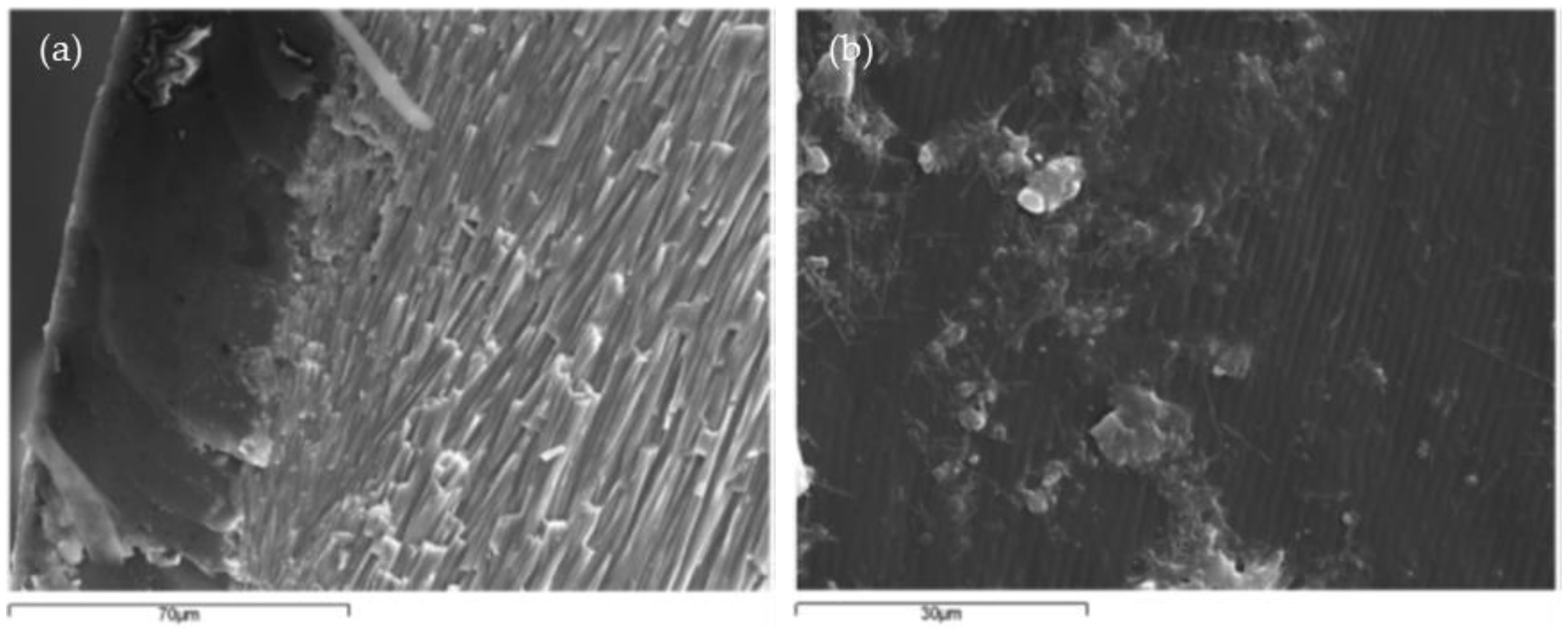 Materials 17 01222 g003a