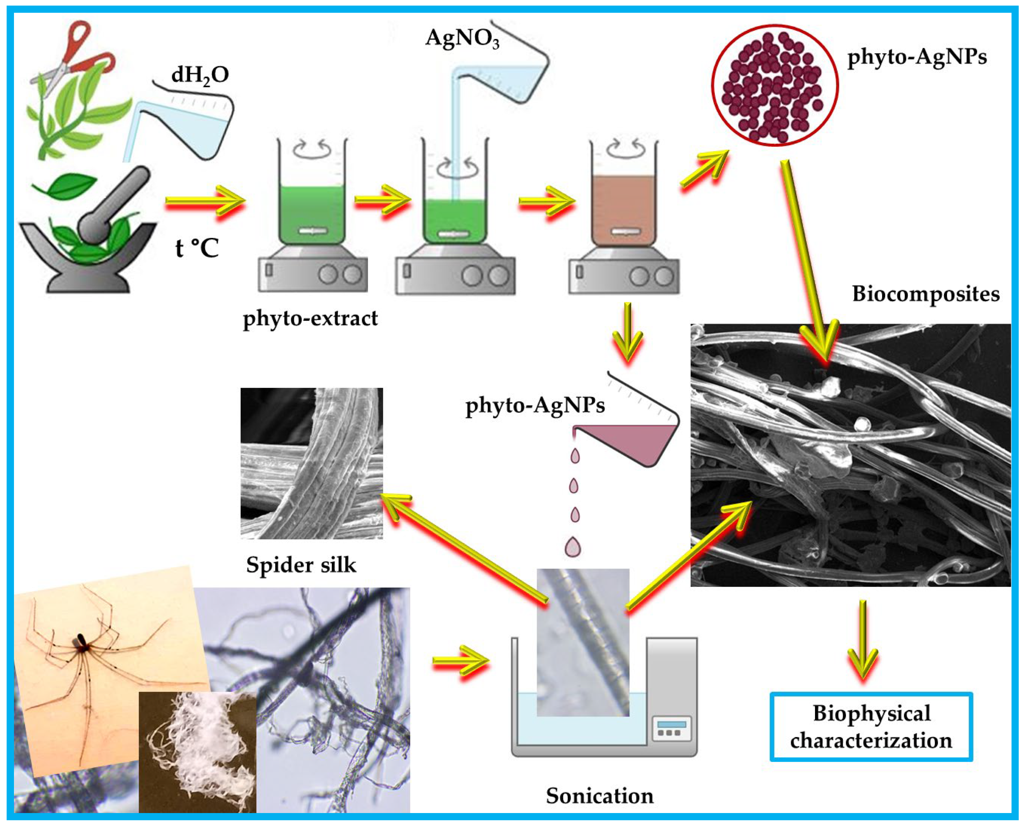 Materials 17 01225 g001
