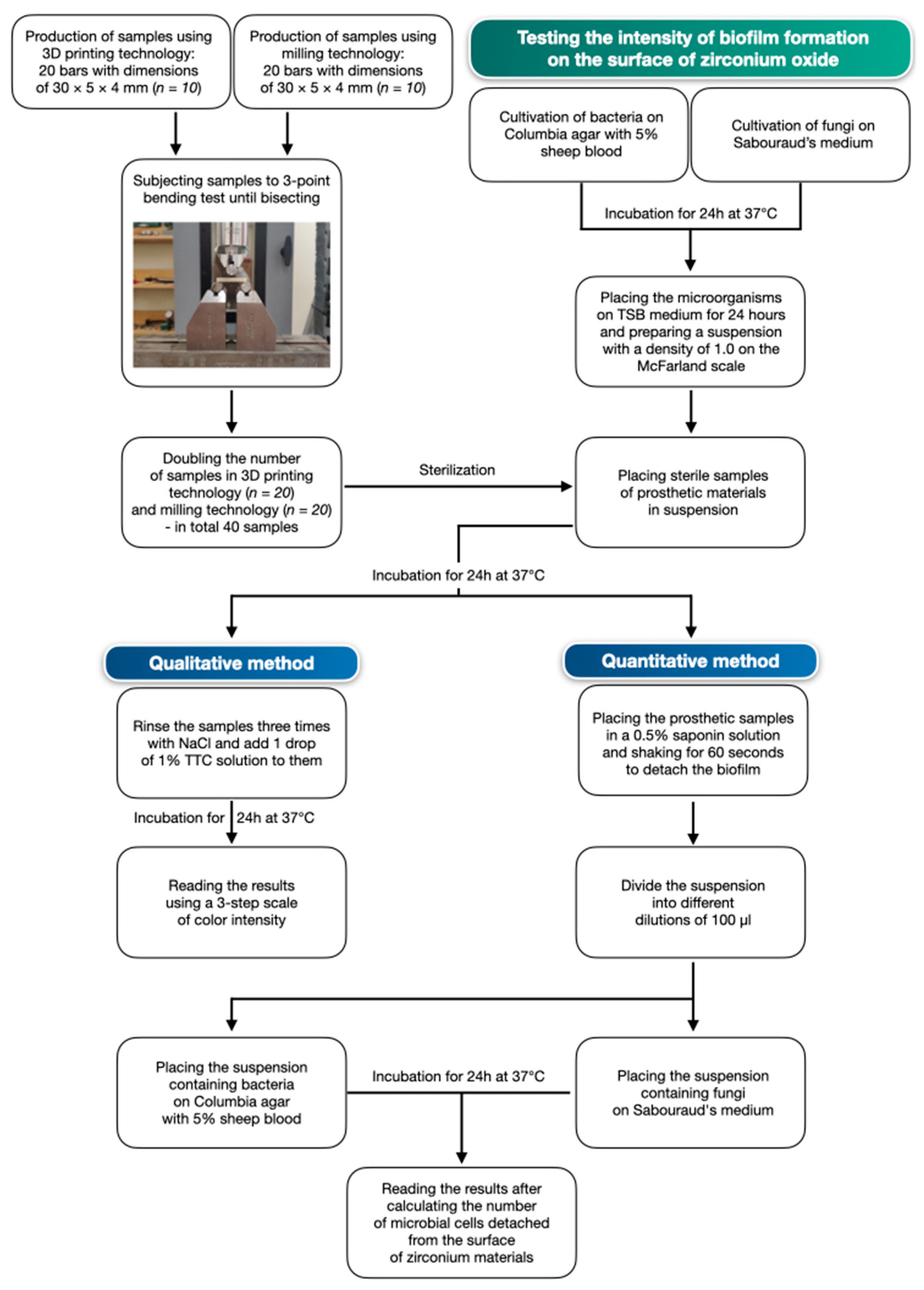 Materials 17 01231 g002