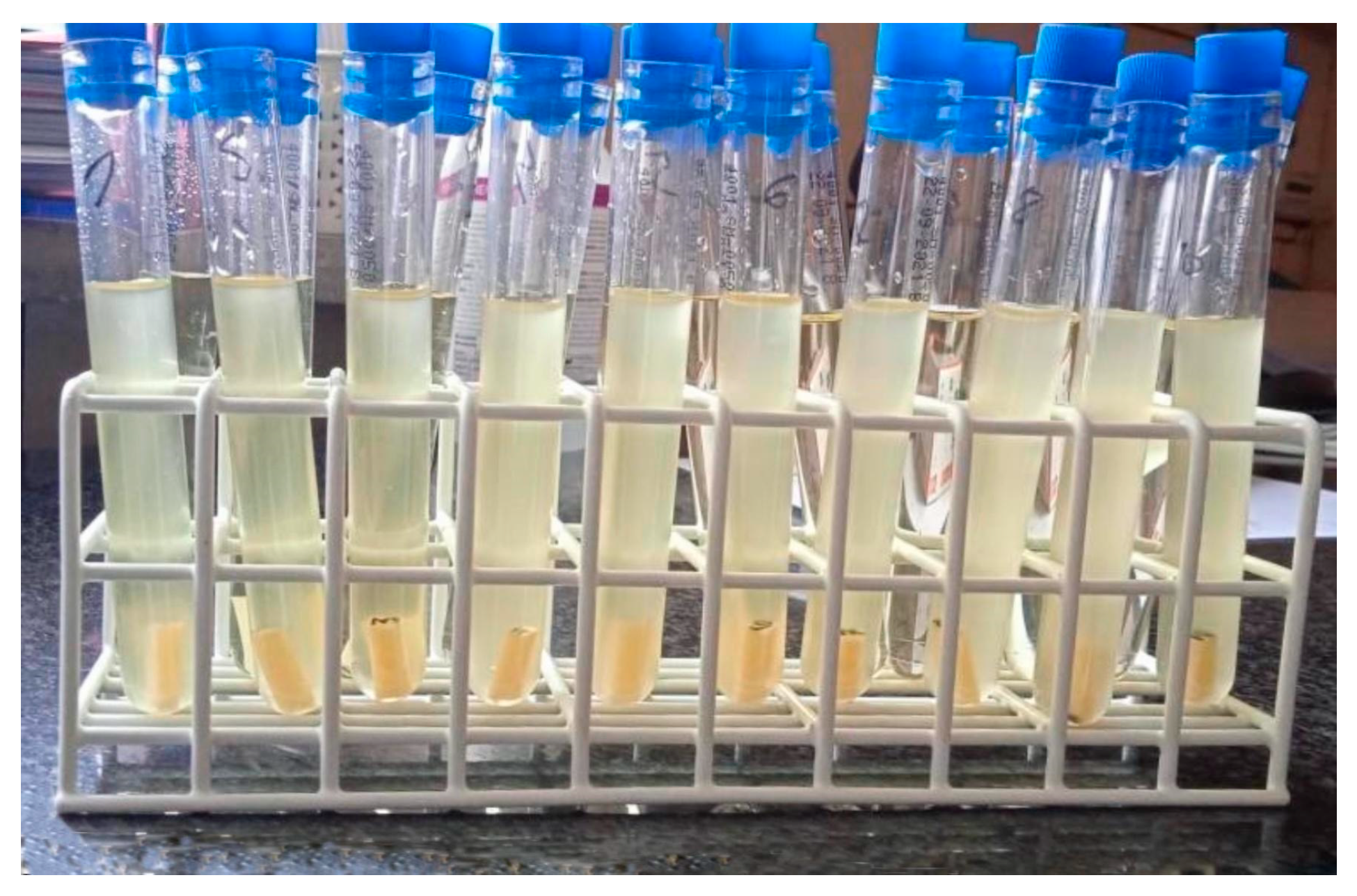 Materials 17 01231 g003