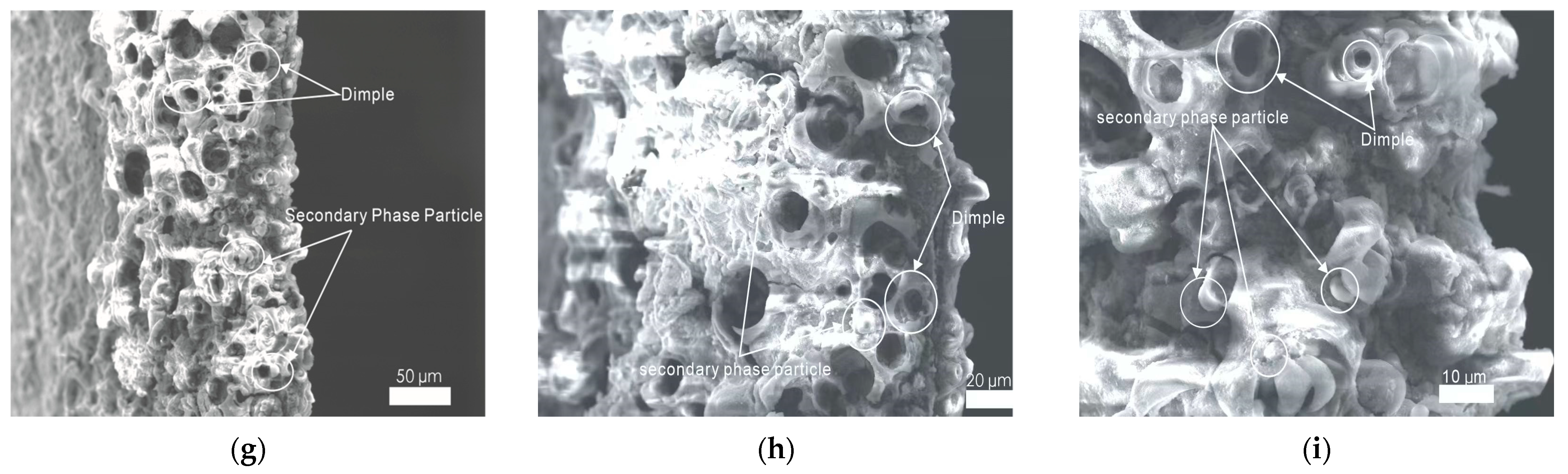 Materials 17 01235 g011b